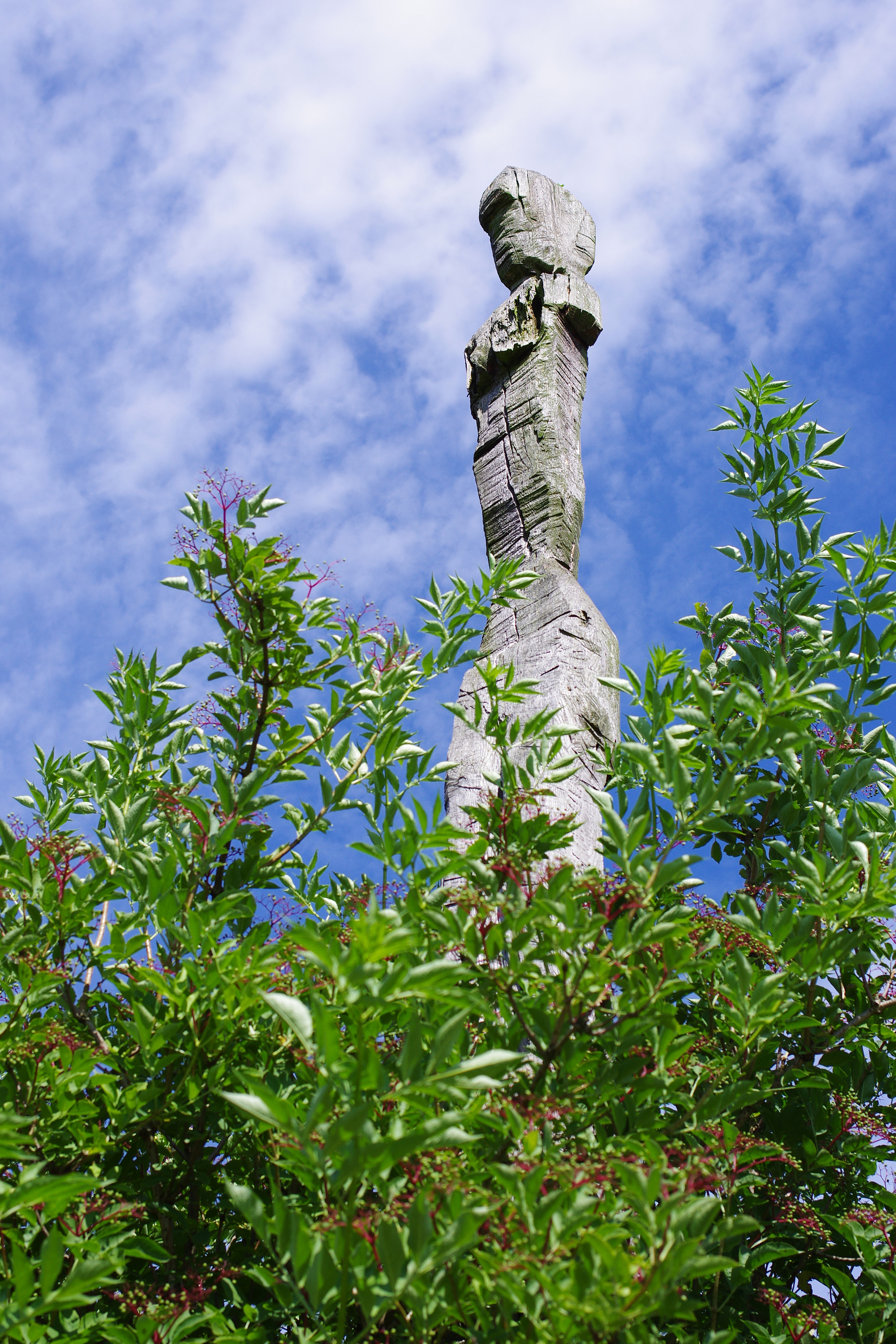 Pentax K-5 + Pentax smc DA 35mm F2.4 AL sample photo. Eurotec totem i photography