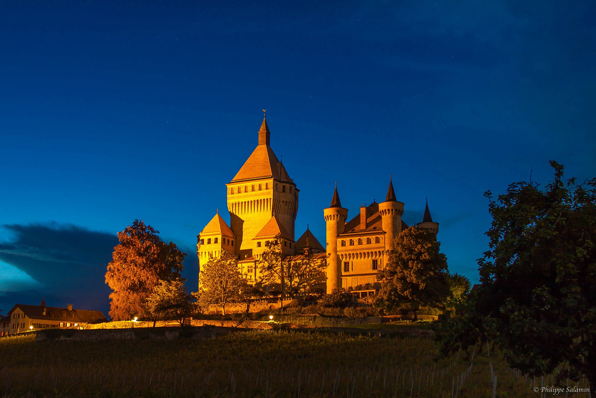 Sigma 30mm F1.4 EX DC HSM sample photo. Vufflens castle photography
