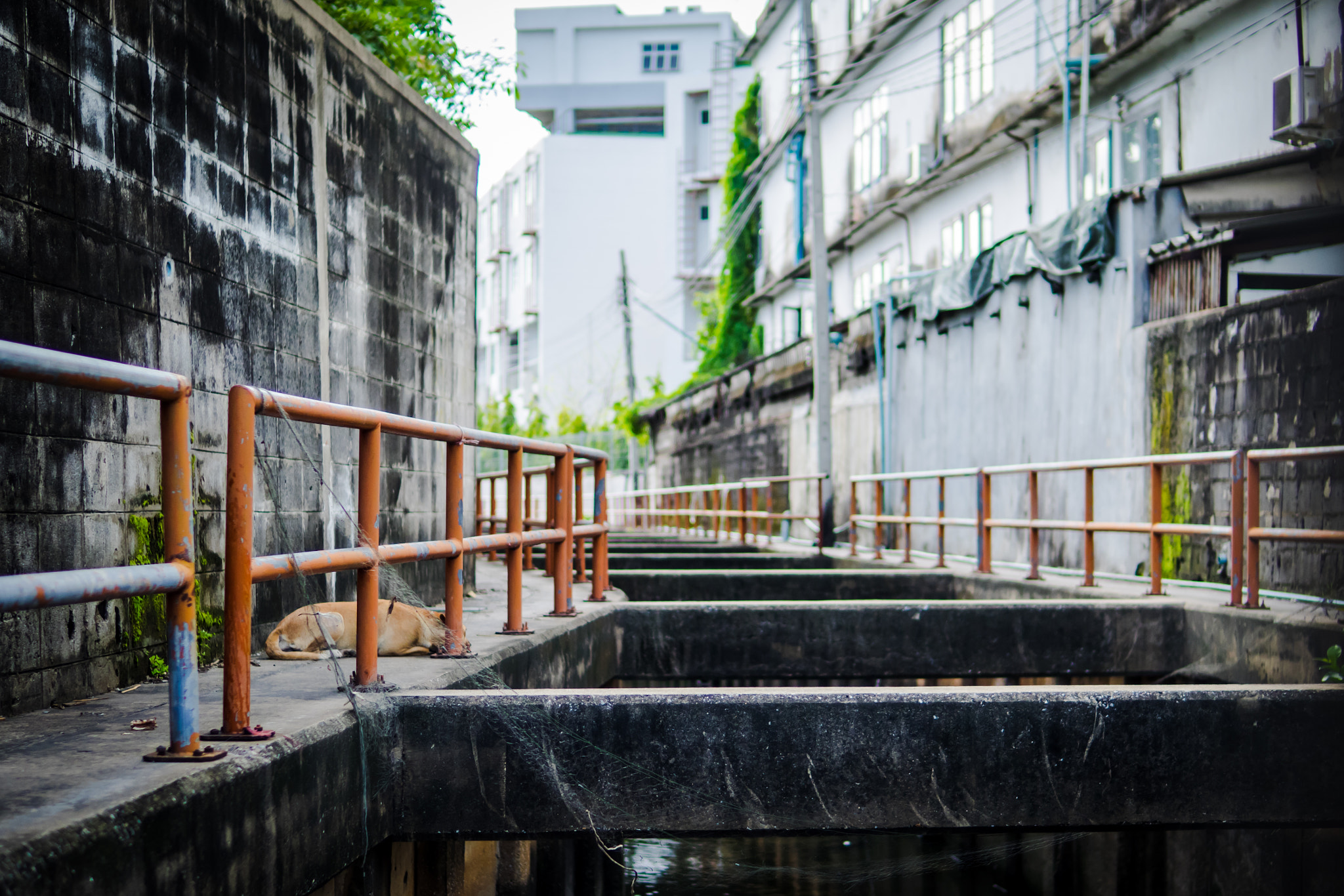 Olympus OM-D E-M1 + Sigma 30mm F1.4 DC DN | C sample photo