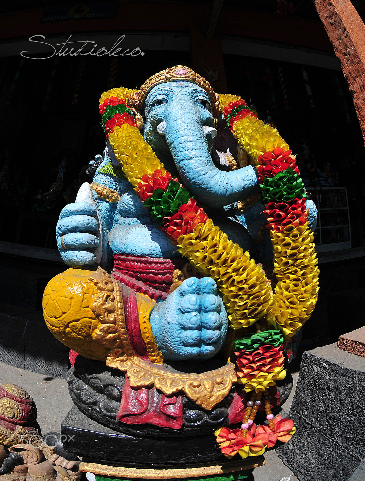 Nikon AF DX Fisheye-Nikkor 10.5mm F2.8G ED sample photo. Ganesha photography