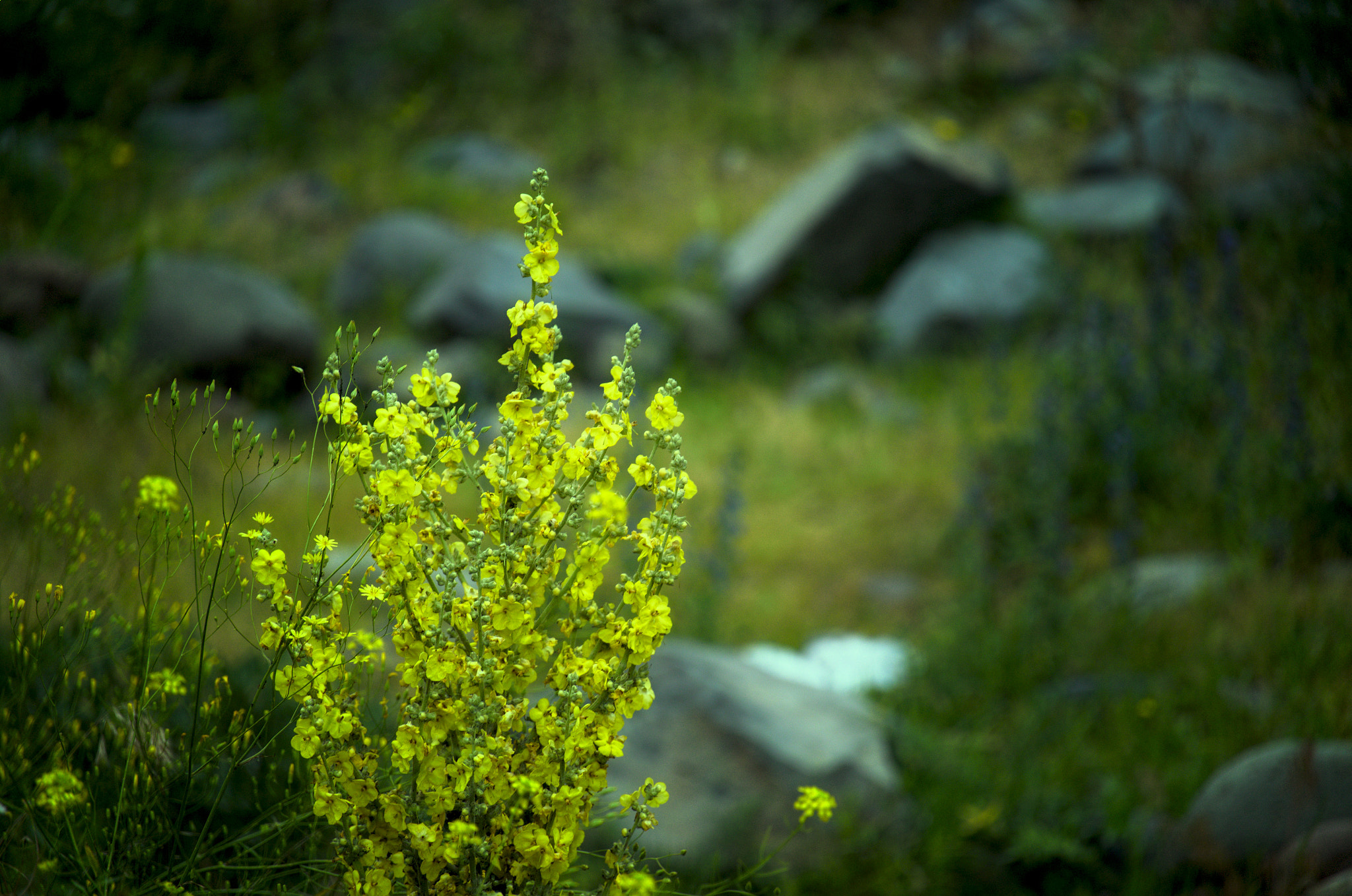 Leica T (Typ 701) + Vario-Elmar-T  1:3.5-4.5 / 55-135 ASPH. sample photo. *** photography