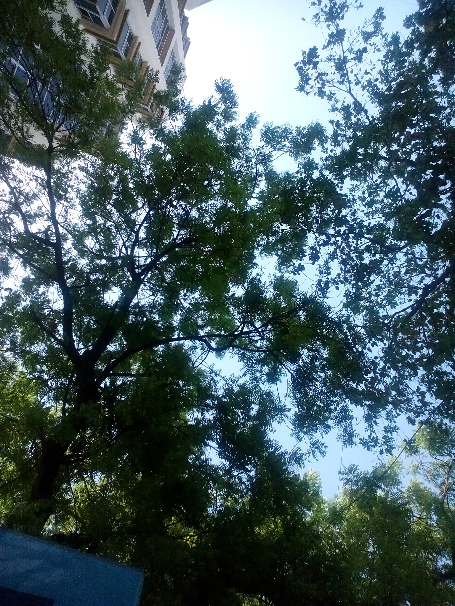HUAWEI Honor3 sample photo