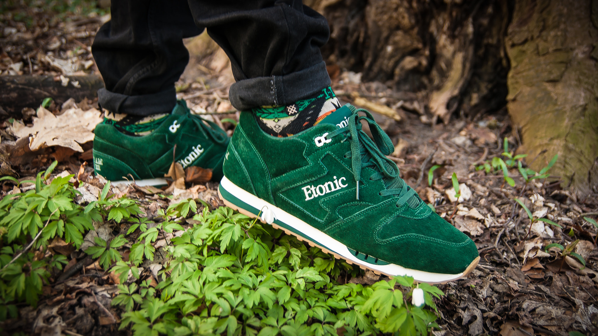 Sony Alpha DSLR-A290 sample photo. Etonic trans am  photography