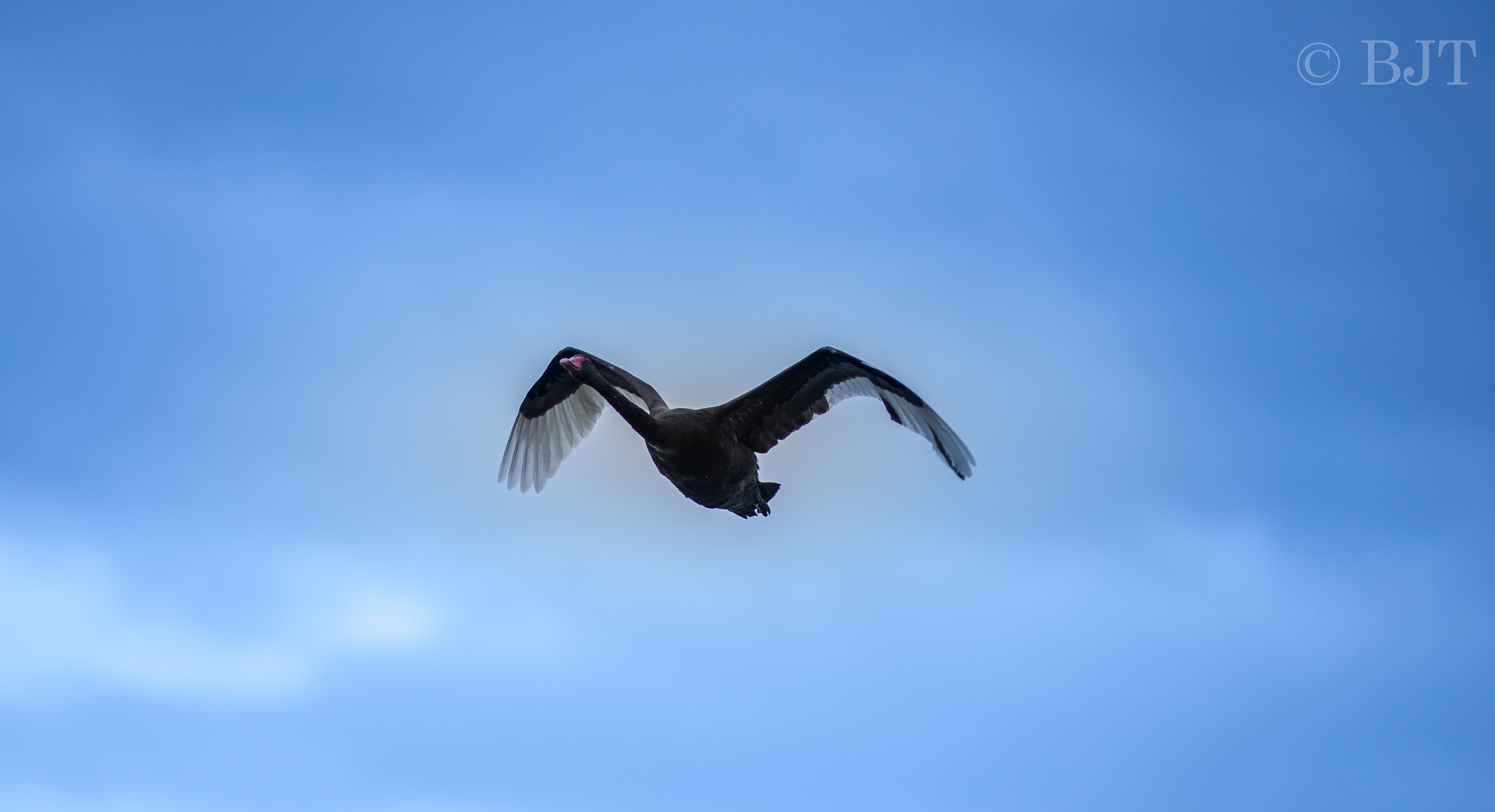 Nikon AF-S Nikkor 300mm F2.8G ED VR II sample photo. Long photography
