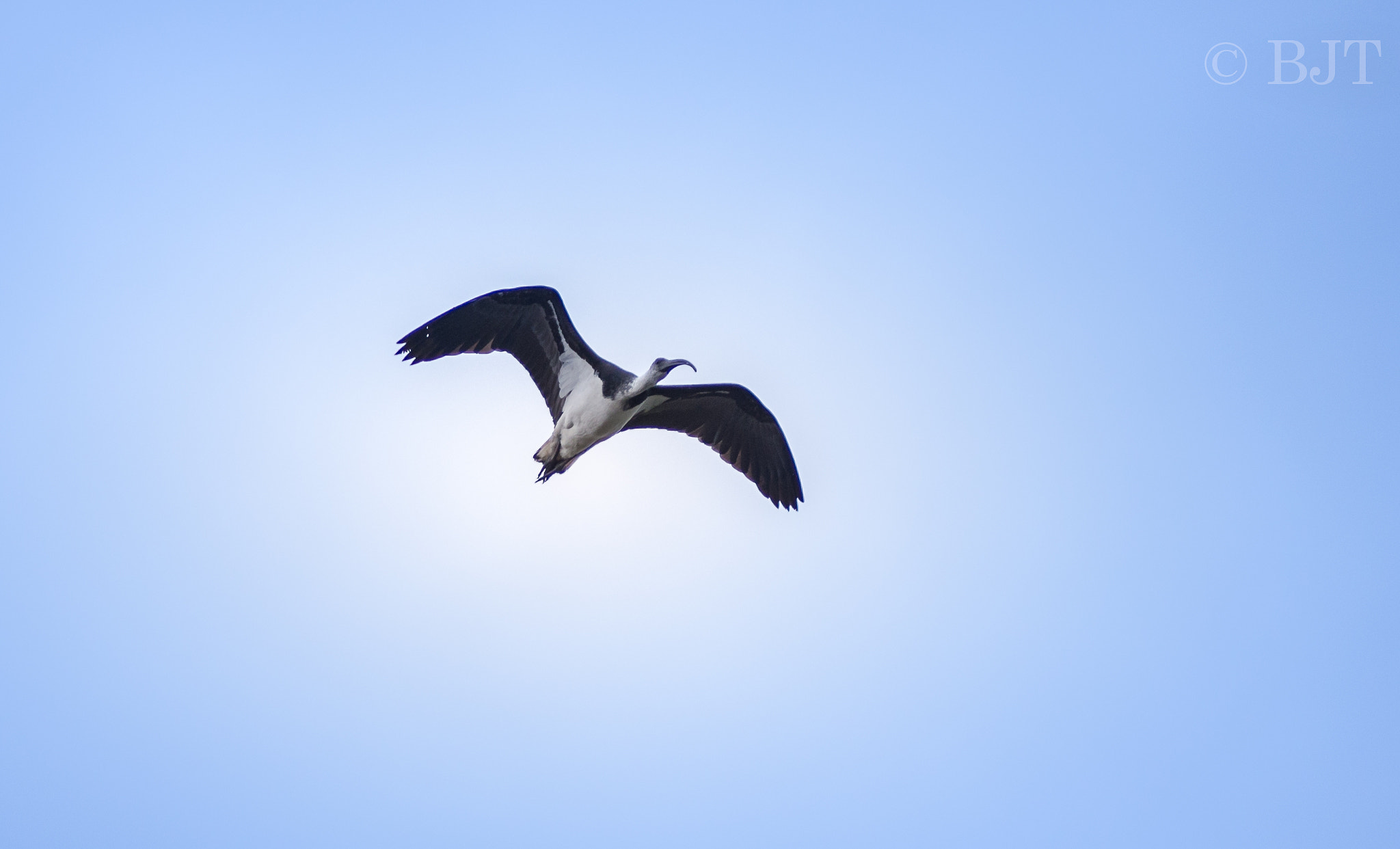 Nikon AF-S Nikkor 300mm F2.8G ED VR II sample photo. Point photography