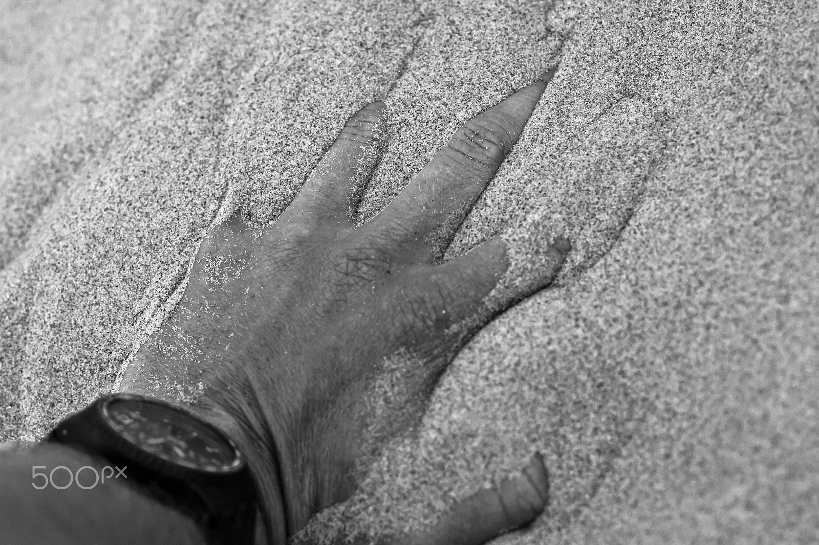 Canon EOS 450D (EOS Rebel XSi / EOS Kiss X2) + Canon EF 50mm F1.8 II sample photo. Hand photography
