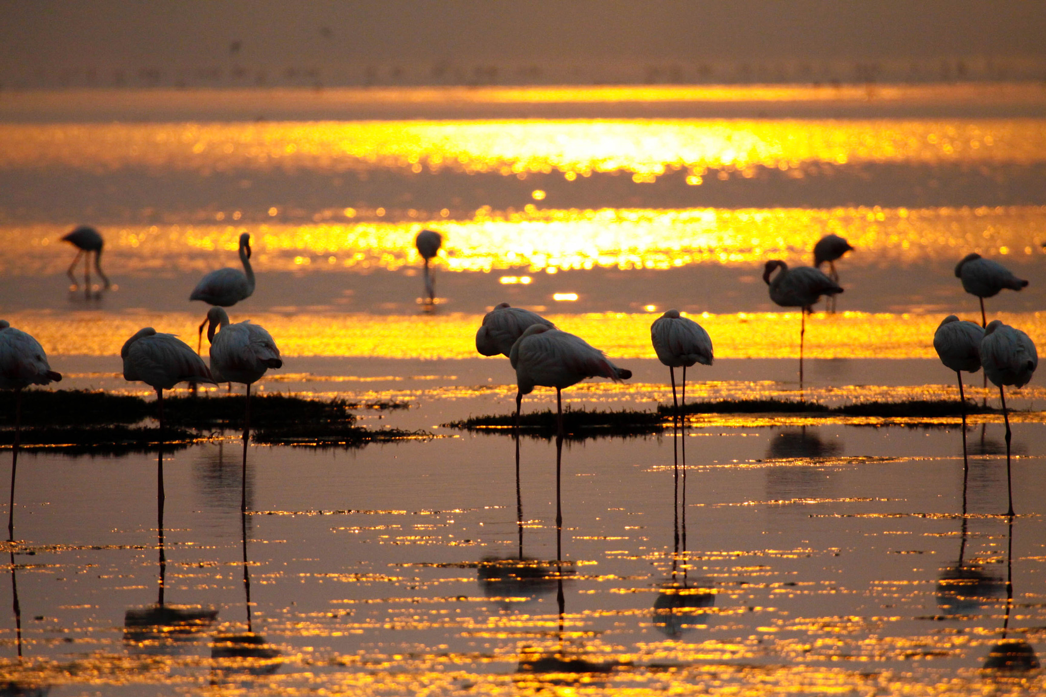 Canon EF 100-400mm F4.5-5.6L IS USM sample photo. Sunset on sandwich bay - namibia photography