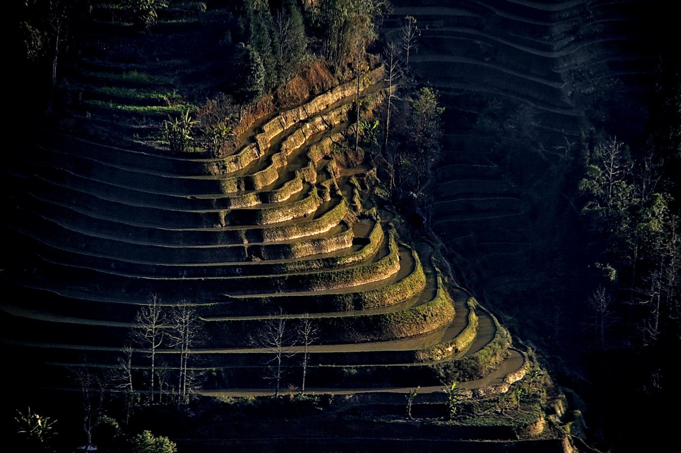 Sigma 150-500mm F5-6.3 DG OS HSM sample photo. Rice terrace photography