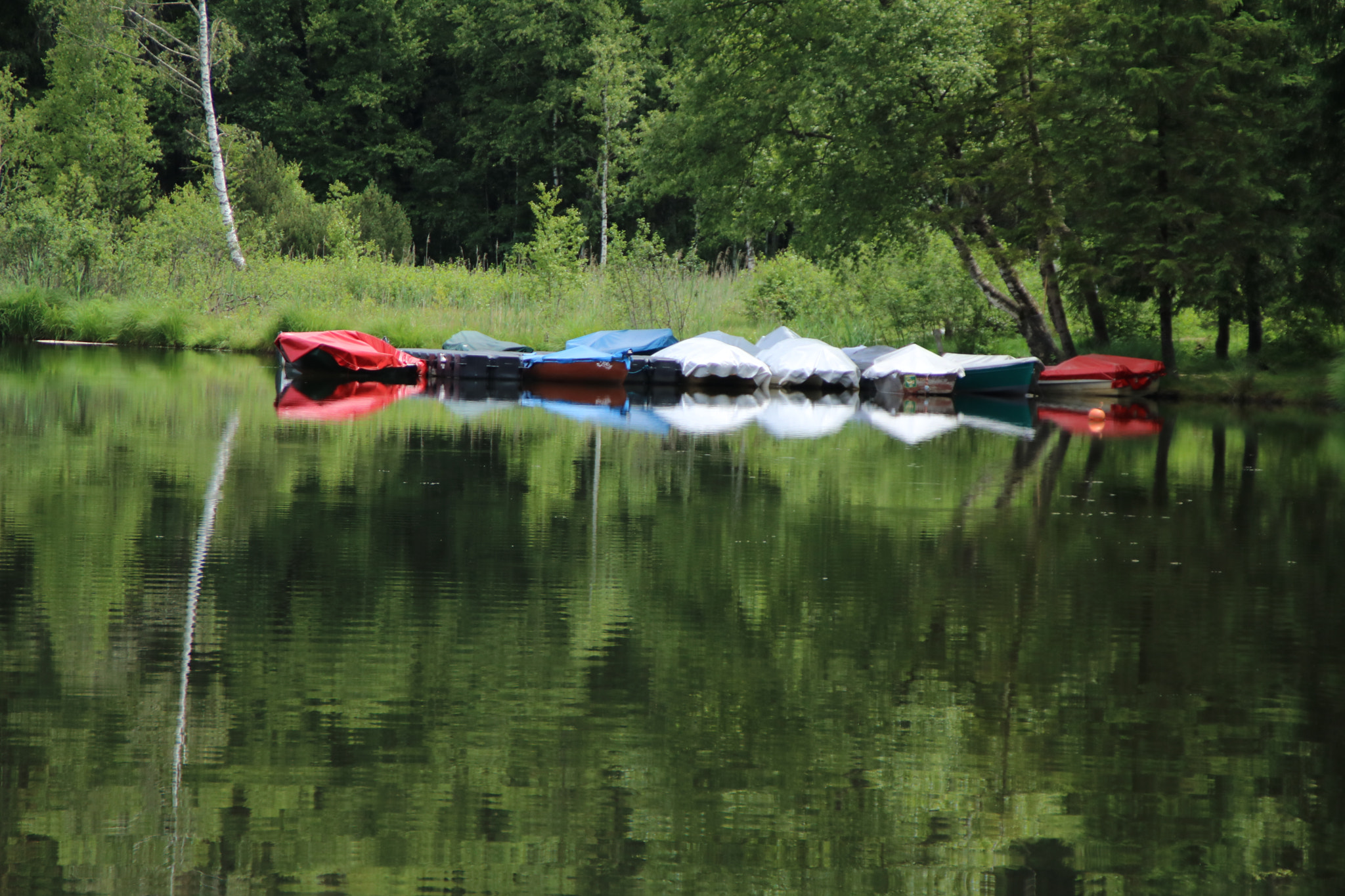 Canon EOS 760D (EOS Rebel T6s / EOS 8000D) sample photo. Am schwarzsee bei kitzbühl photography