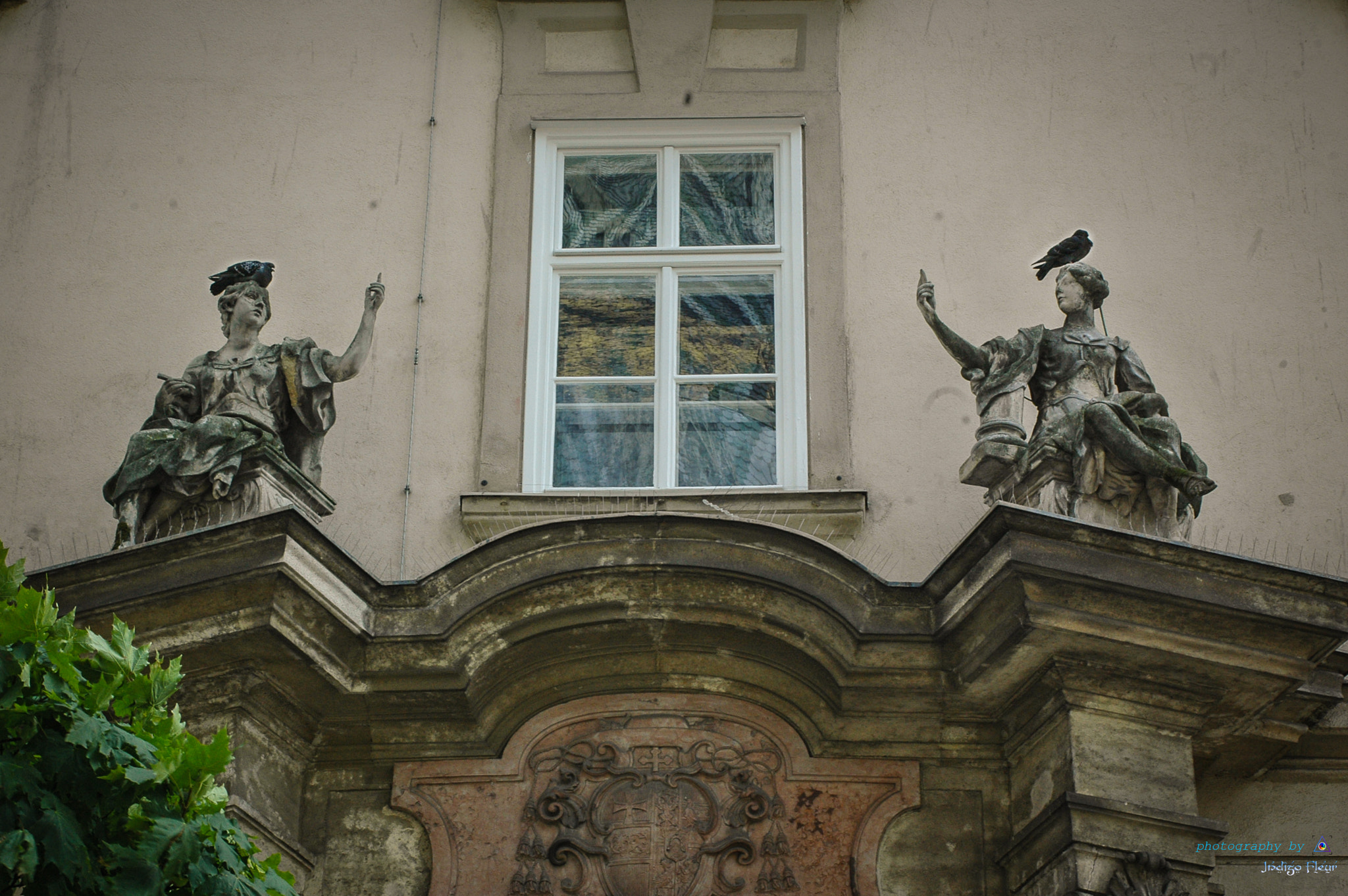 AF Zoom-Nikkor 35-70mm f/3.3-4.5 N sample photo. 2 pigeons & 2 sculptures :) photography