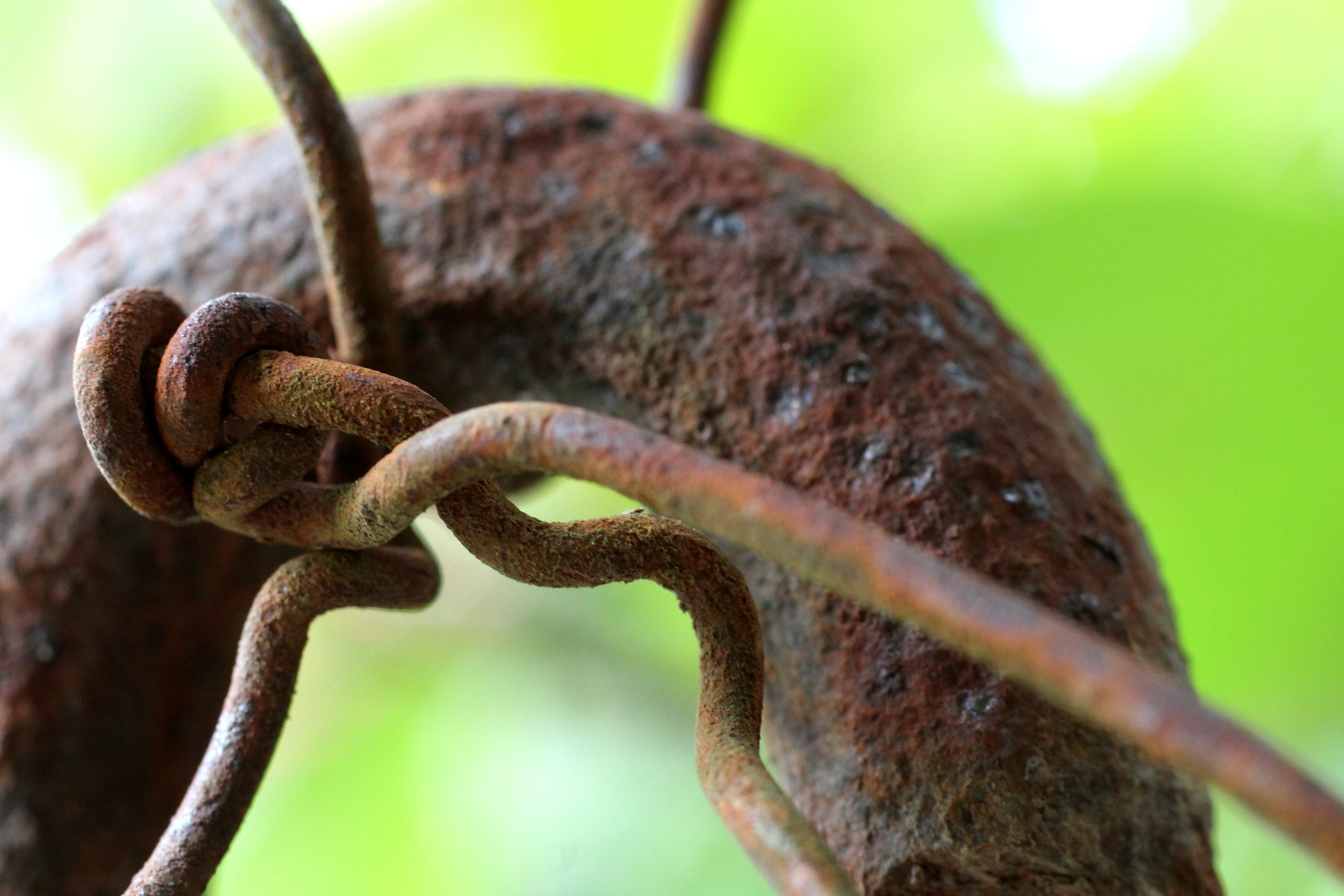 Canon EF 50mm F2.5 Macro sample photo. Ferrugem i photography