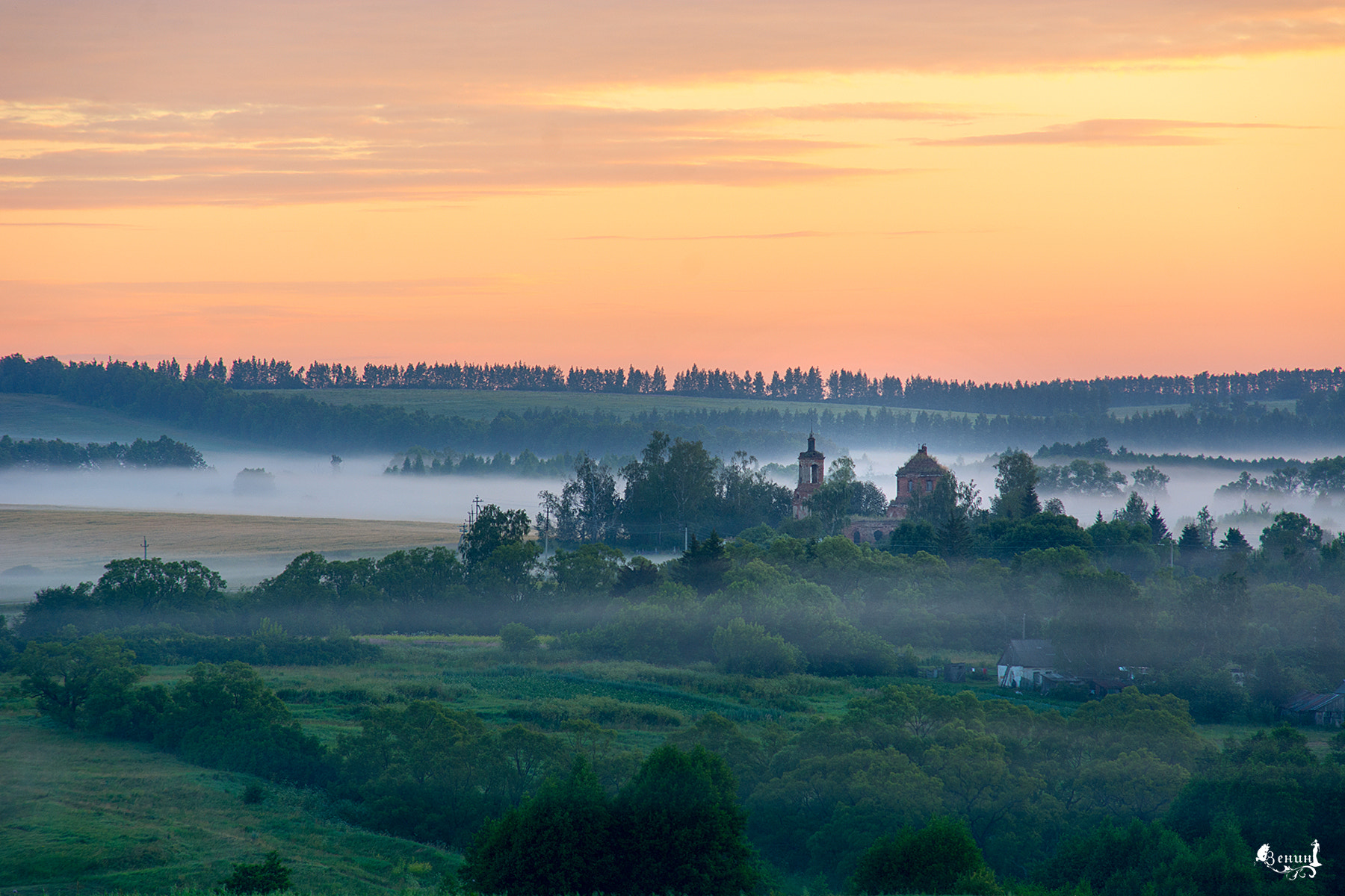 Nikon D7100 + Sigma 50-150mm F2.8 EX APO DC HSM sample photo. Morning fog photography