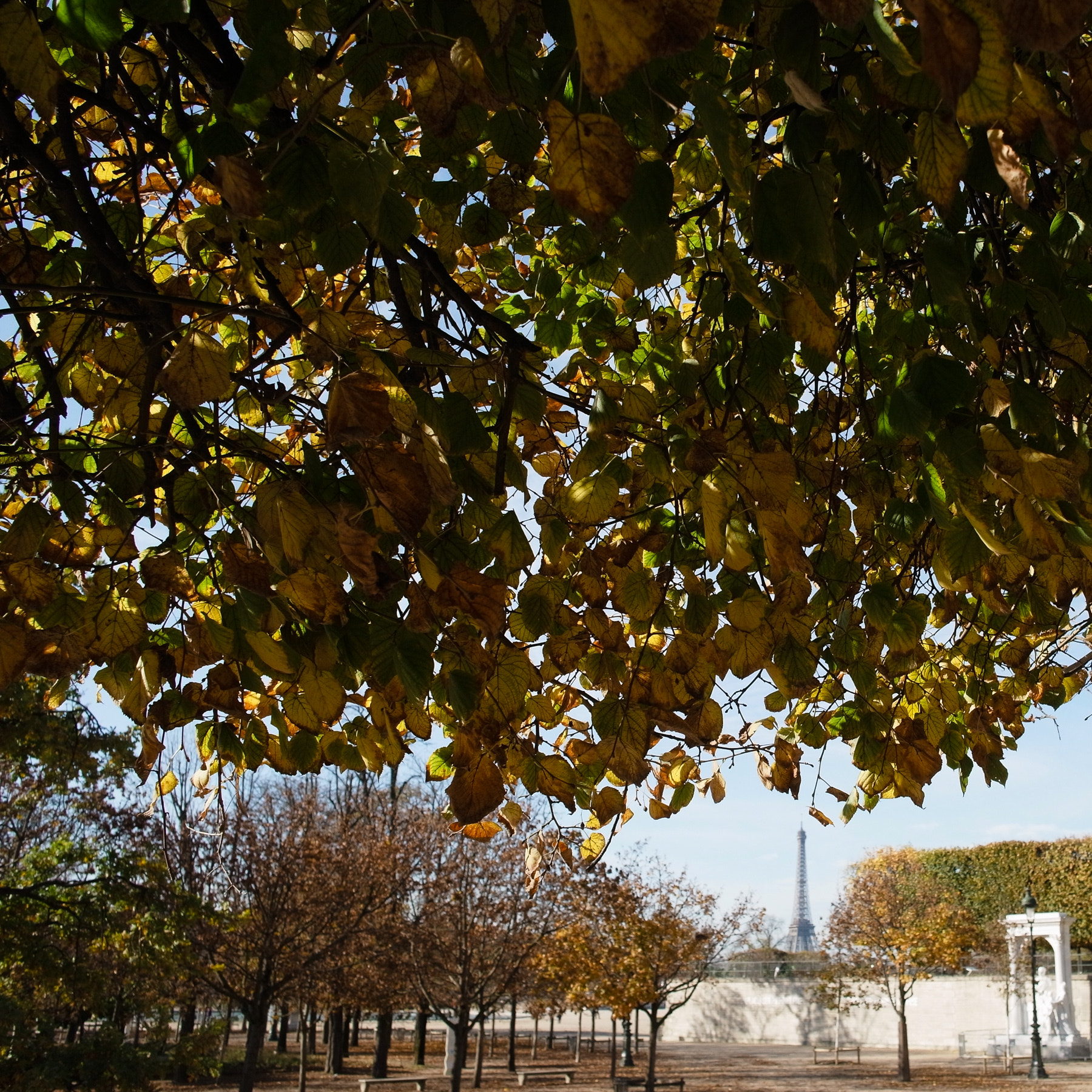 GR LENS A12 28mm F2.5 sample photo. Paris photography