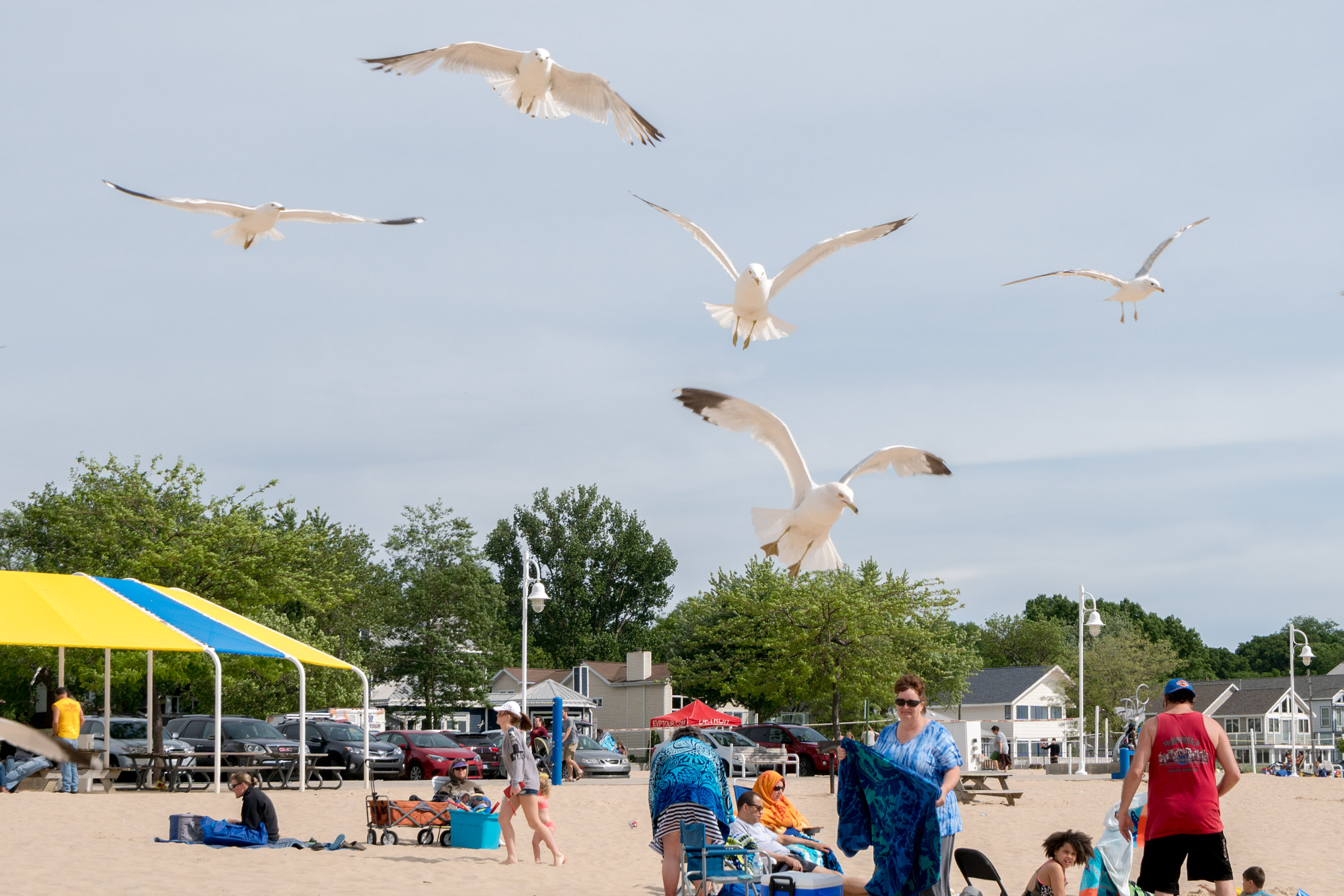 Sony a6300 + Sony Vario-Tessar T* FE 16-35mm F4 ZA OSS sample photo. Taken at silver beach in saint joseph, michigan. photography