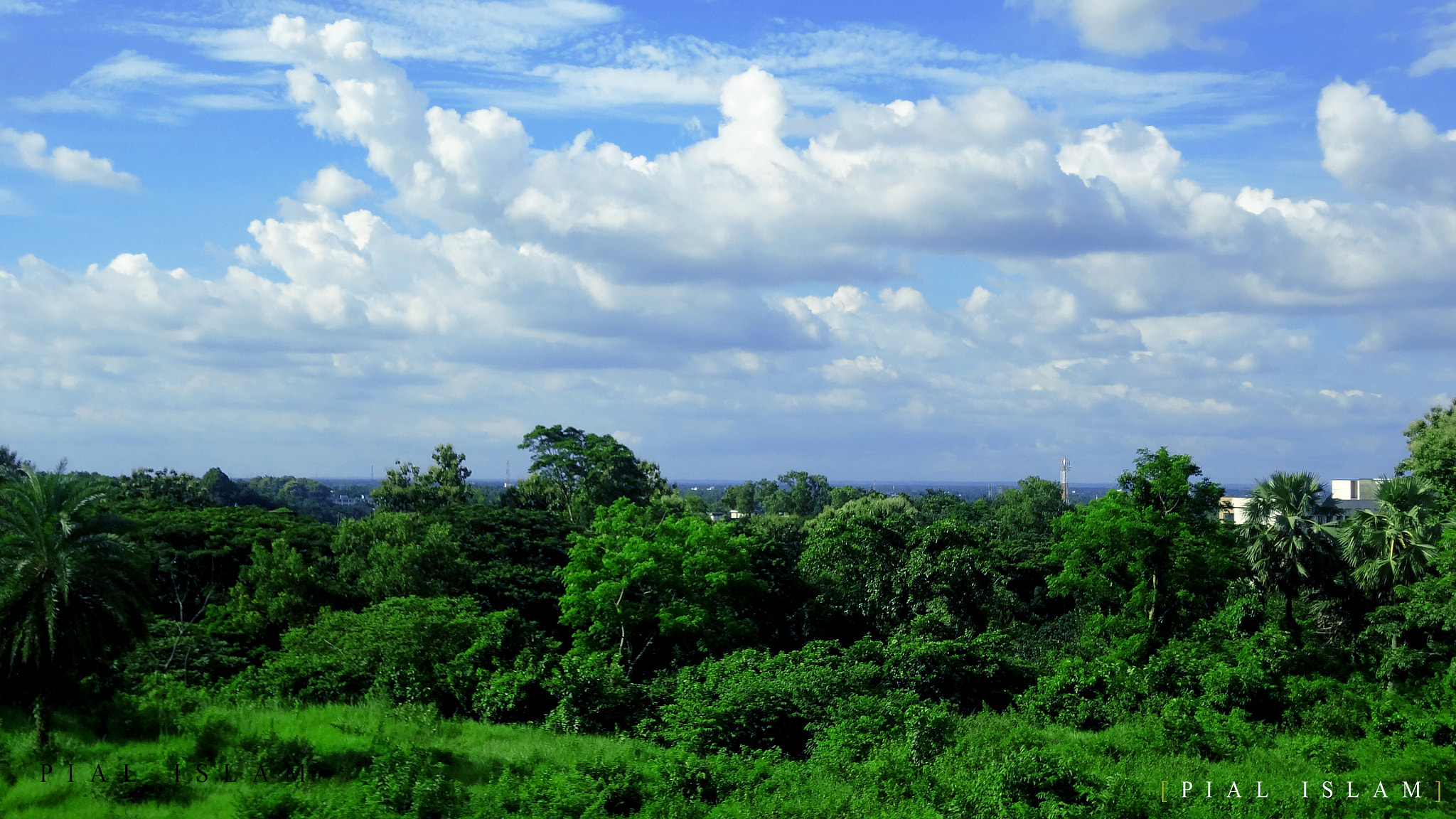 Sony DSC-WX30 sample photo. আকাশ এবং সবুজের গল্প photography