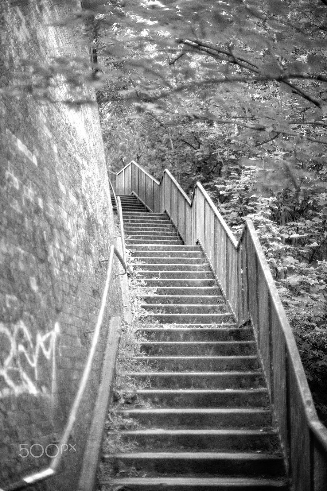 Nikon Df + AF Nikkor 50mm f/1.8 sample photo. Stairs to canal road photography