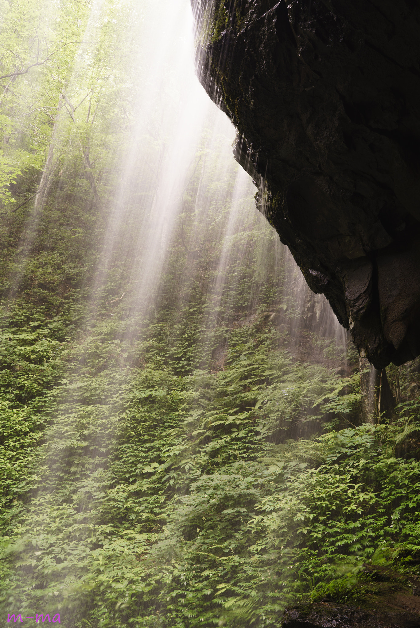Sony a7S + Sony Distagon T* FE 35mm F1.4 ZA sample photo. Flow and light photography
