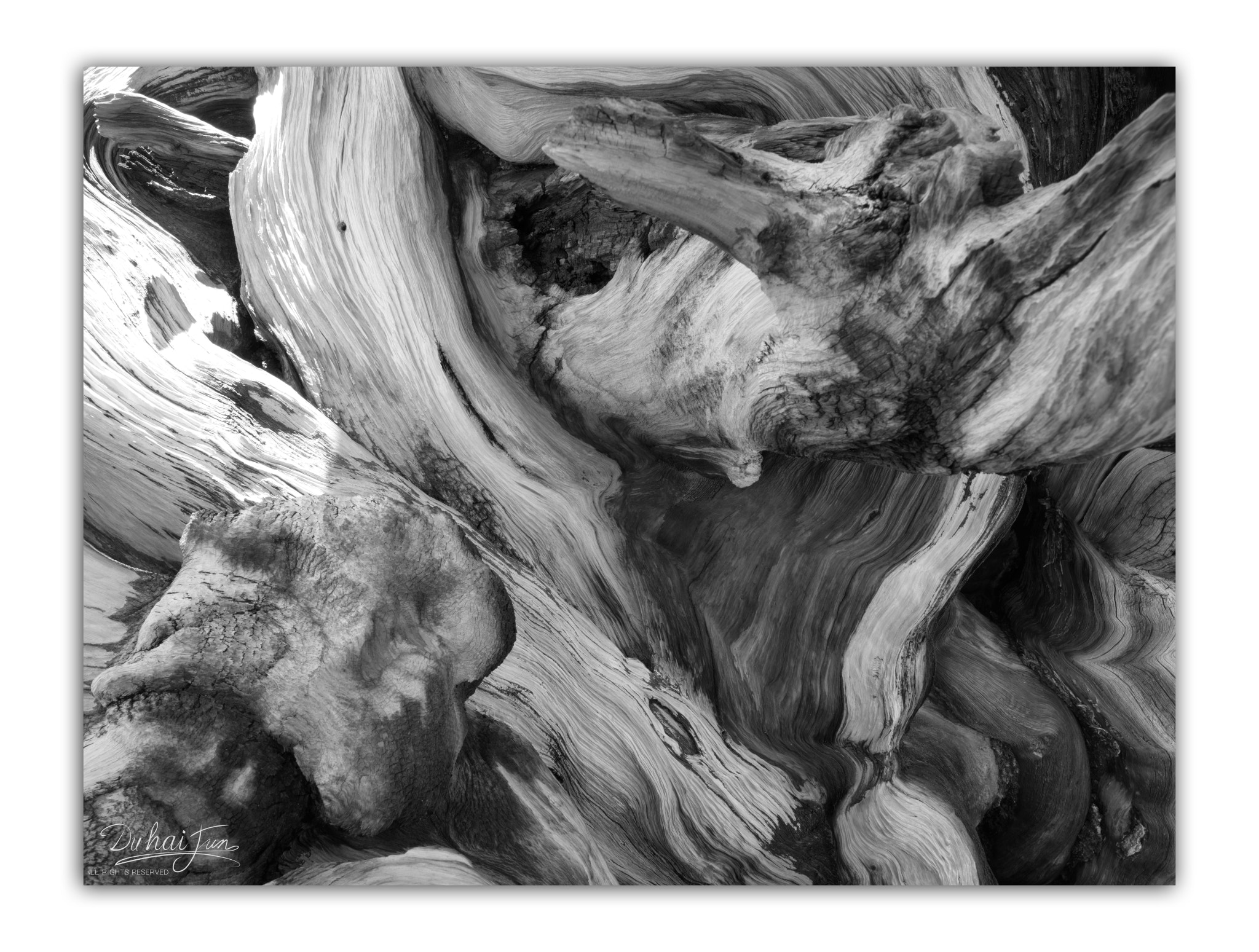 Phase One IQ3 100MP + Schneider LS 35mm f/3.5 sample photo