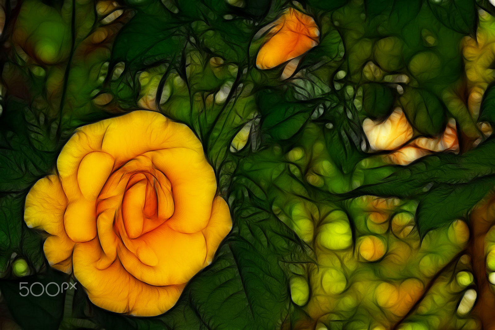 Canon EOS 500D (EOS Rebel T1i / EOS Kiss X3) + Canon EF 85mm F1.8 USM sample photo. Background image of roses photography