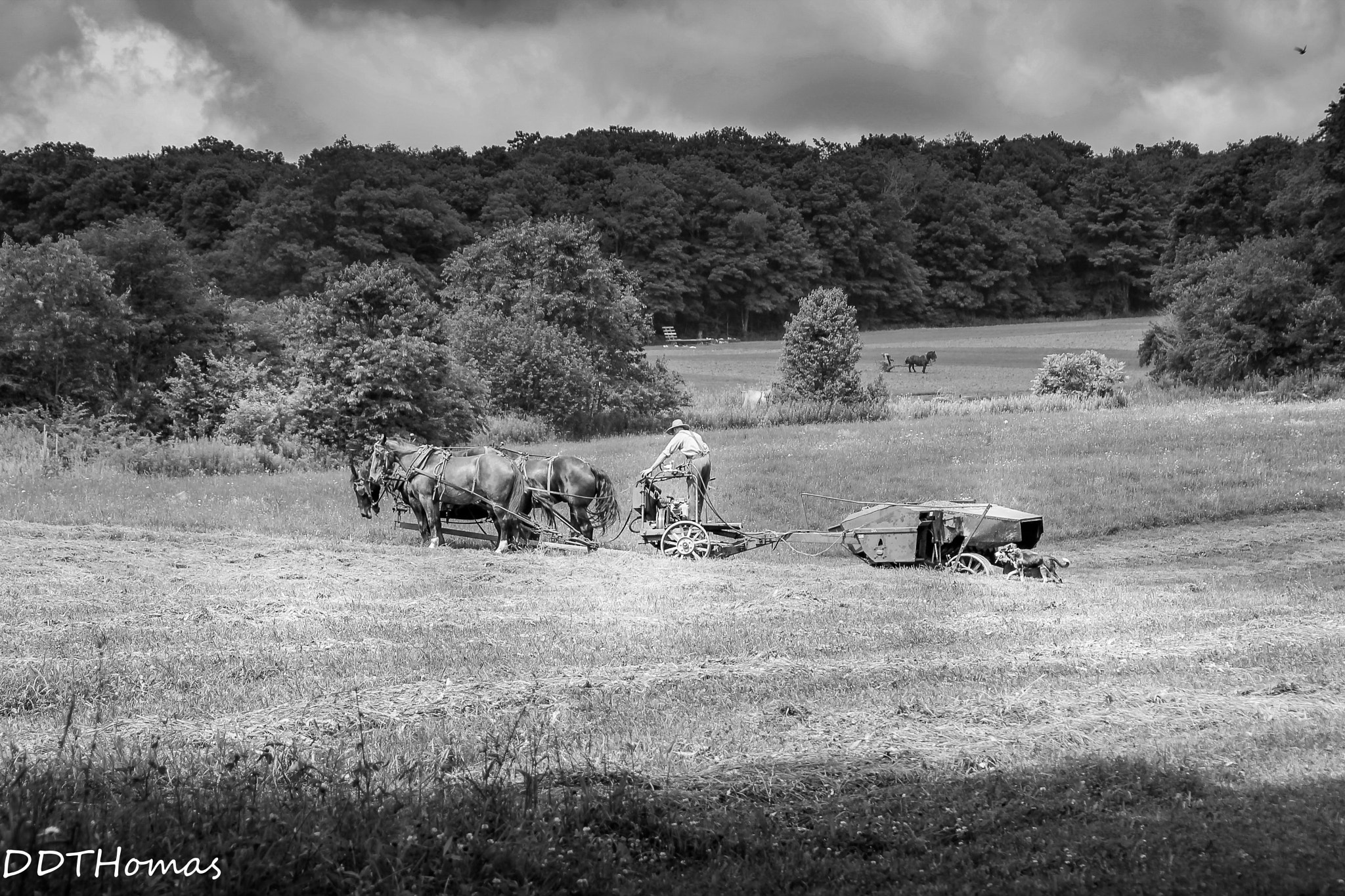 Canon EOS 1100D (EOS Rebel T3 / EOS Kiss X50) sample photo. Pa bw farms photography