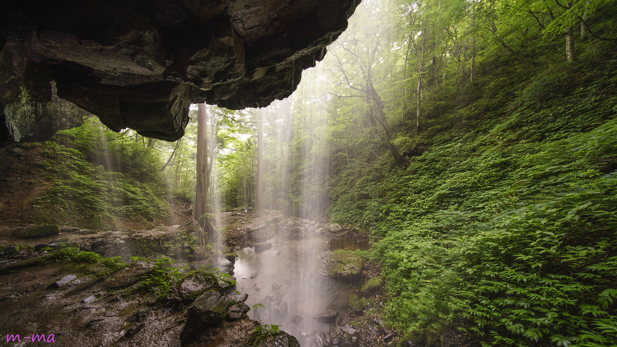 E 10mm F5.6 sample photo. Rainy season photography