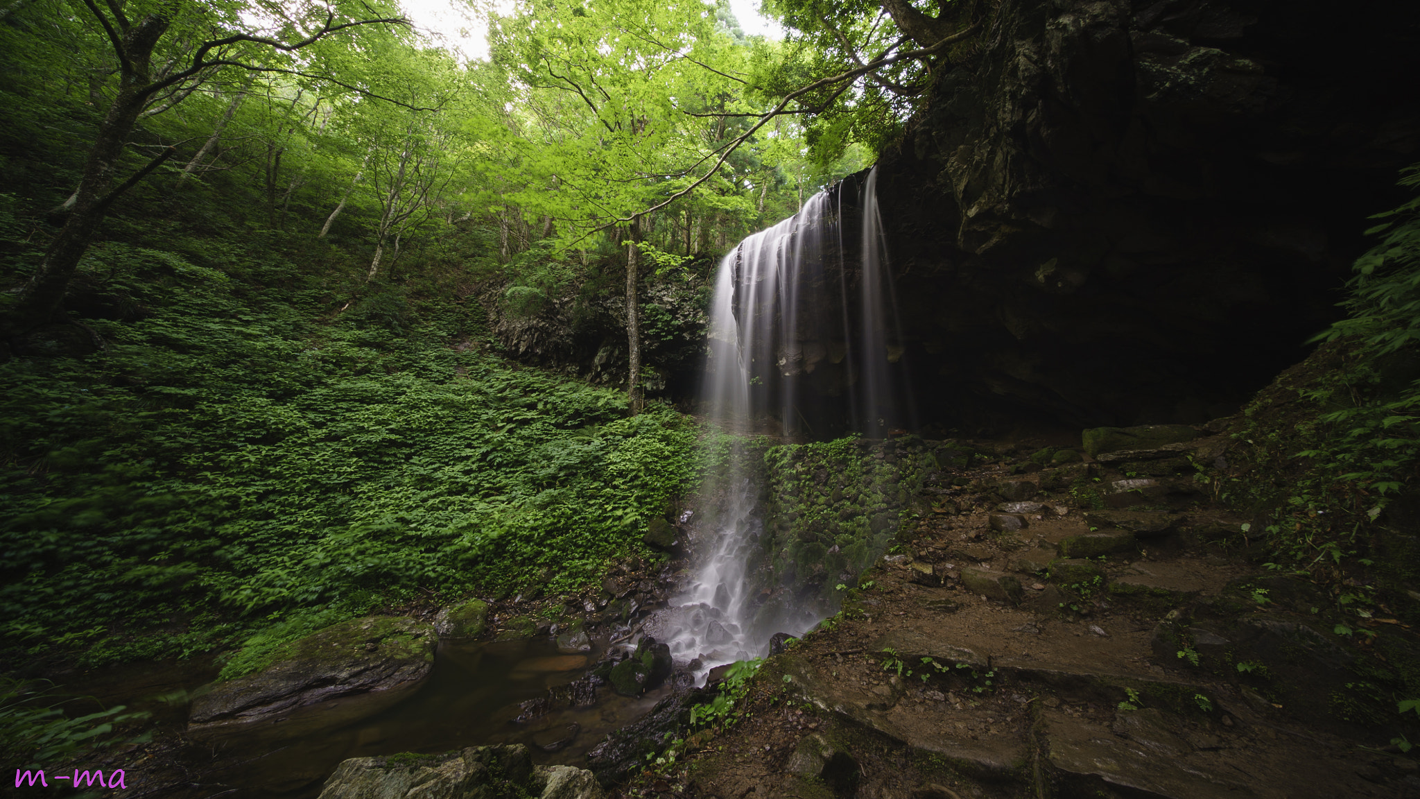 E 10mm F5.6 sample photo. Green and white and black photography
