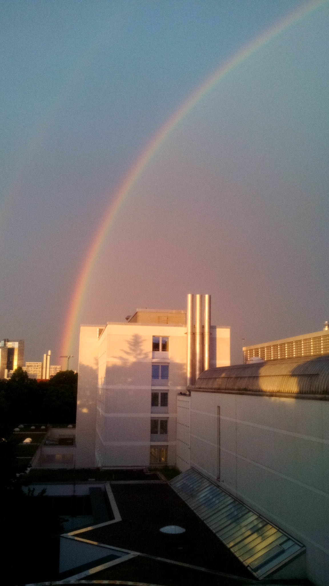 ZTE Blade L3 sample photo. Try to be a rainbow in someone's cloud. photography