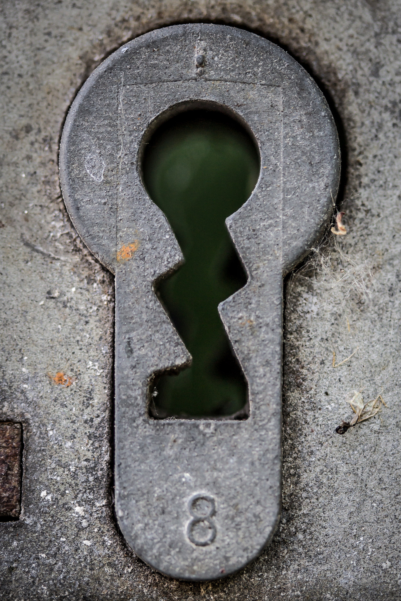 Canon EF-S 60mm F2.8 Macro USM sample photo. Keyhole photography