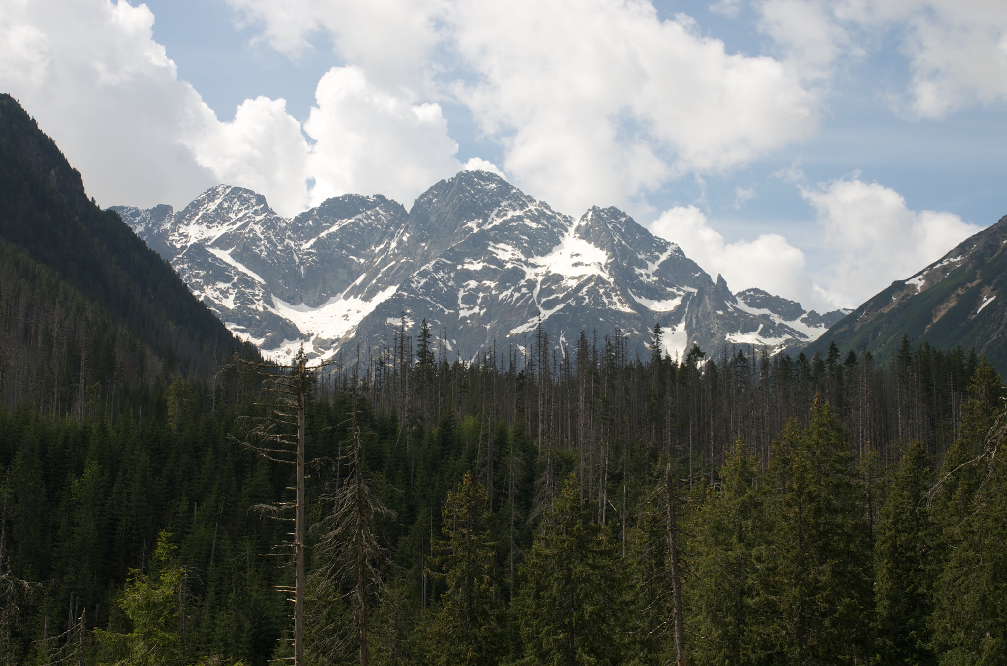 Pentax K-5 sample photo. Zakopane photography