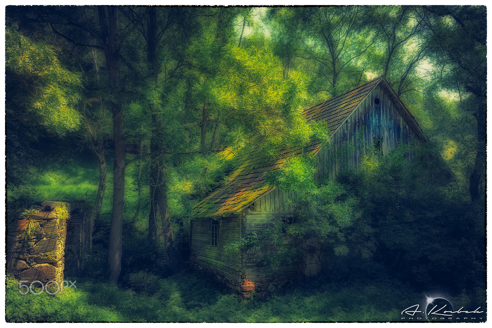 Nikon D500 sample photo. Beauty in decay photography