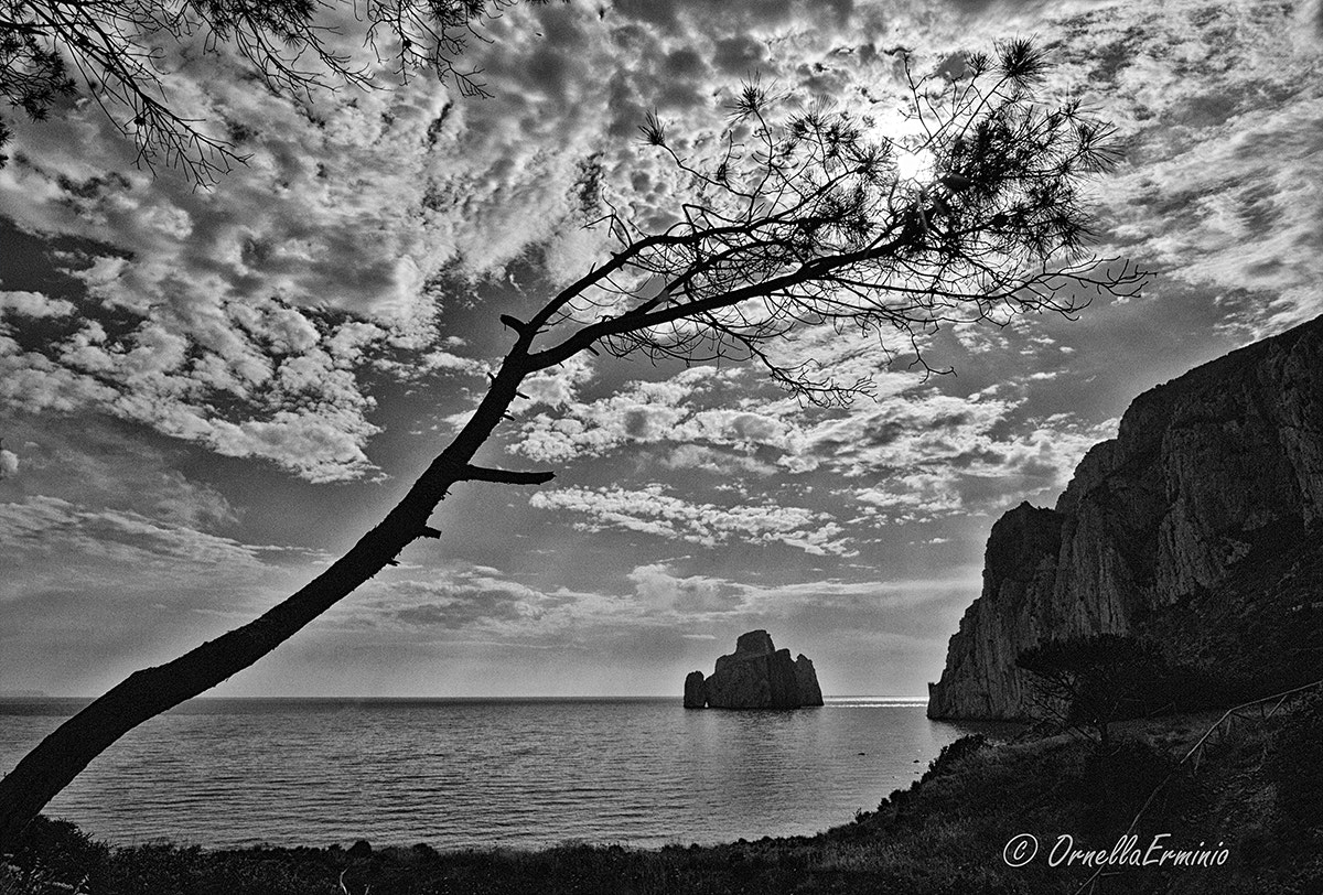 Nikon D200 sample photo. Pan di zucchero (sardegna) photography