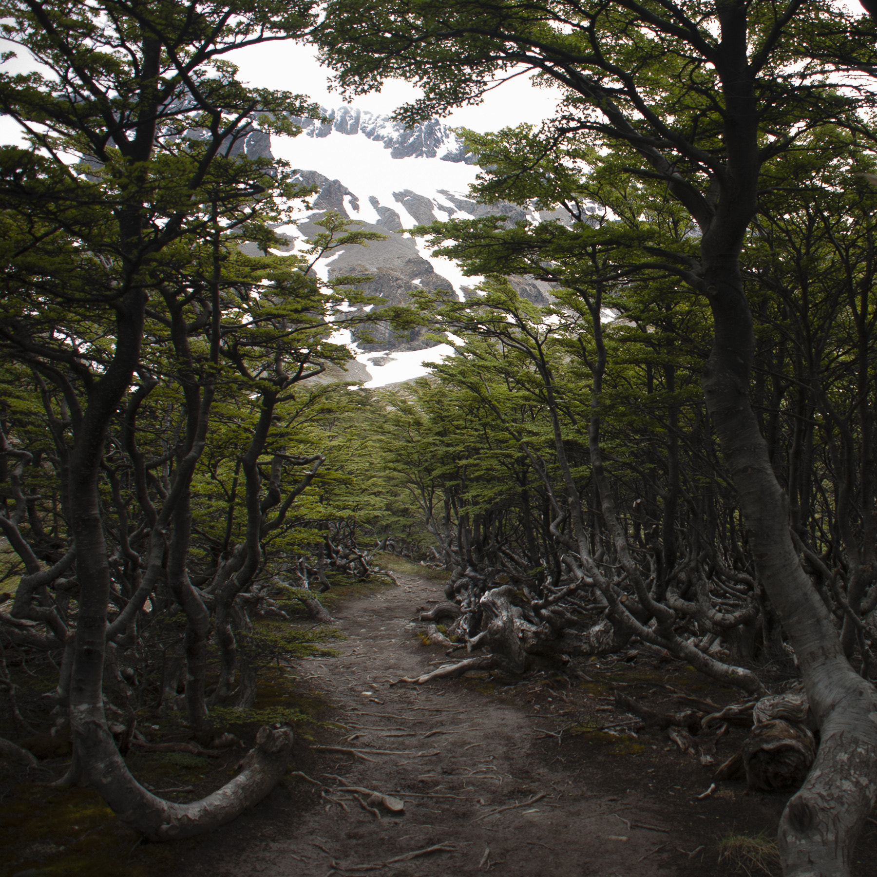 Nikon D80 sample photo. Argentina photography
