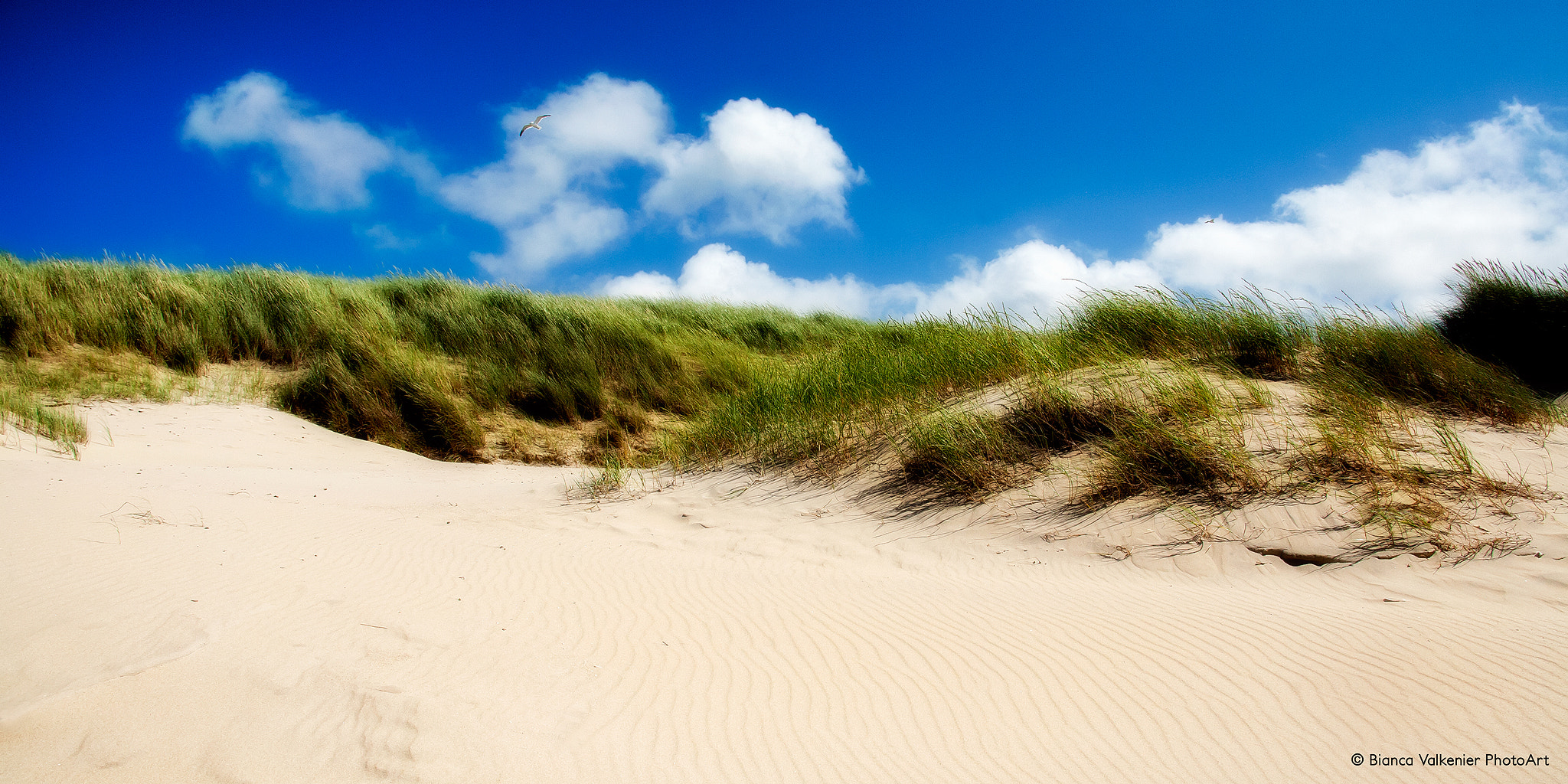 Canon EF 28-300mm F3.5-5.6L IS USM sample photo. Texel dunes ii photography