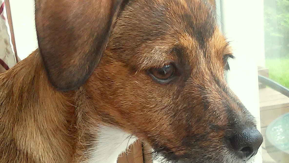LG L90 sample photo. Exact boy photography