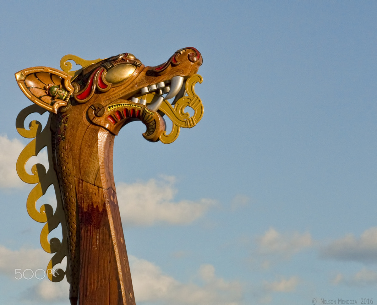 Canon EF 75-300mm f/4-5.6 USM sample photo. Dragon head photography