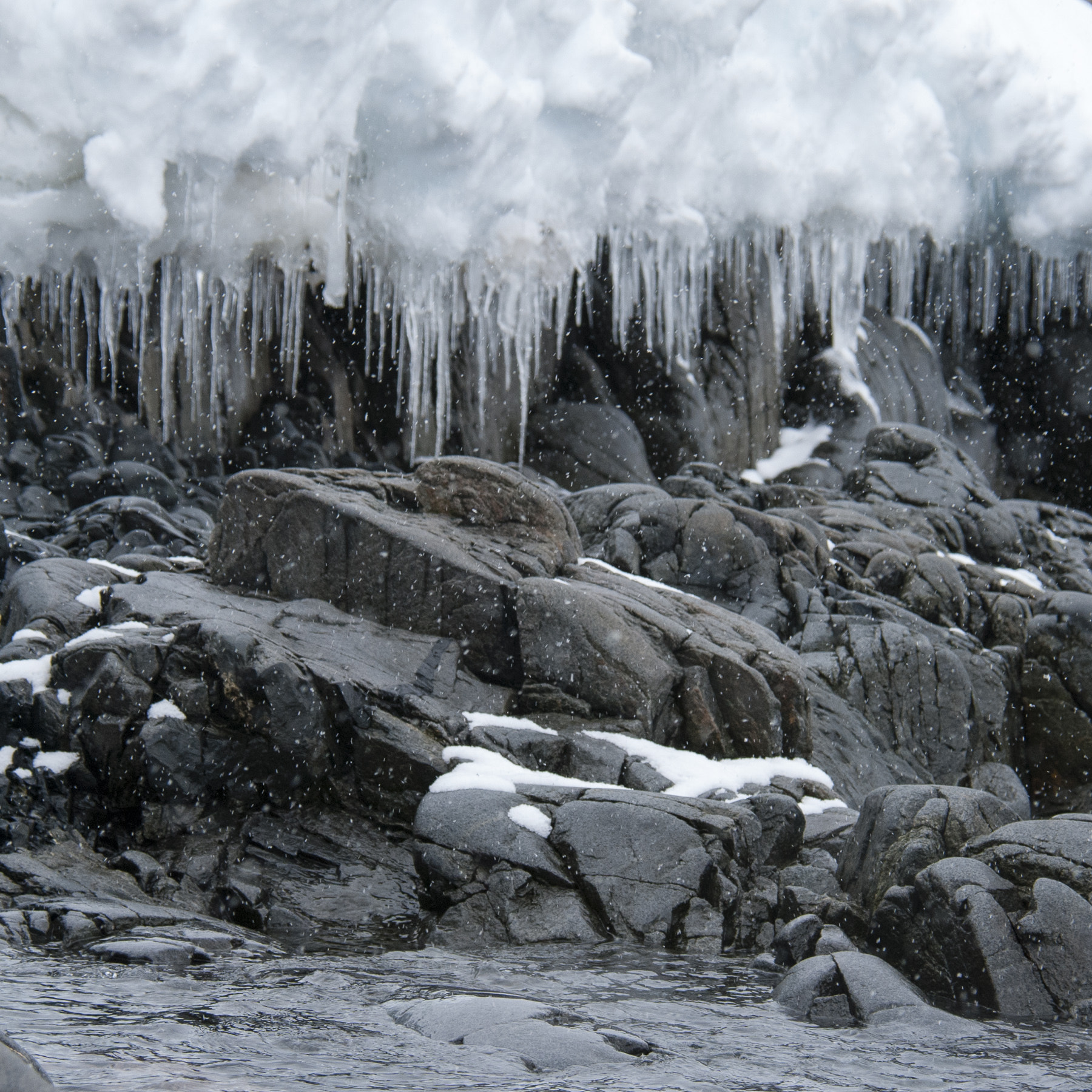Nikon D80 sample photo. Antarctica photography