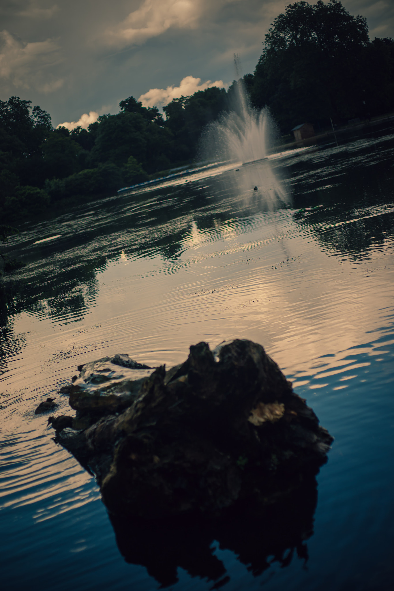 Sony Alpha DSLR-A900 + Sony 50mm F1.4 sample photo. Vicky park fountain  photography