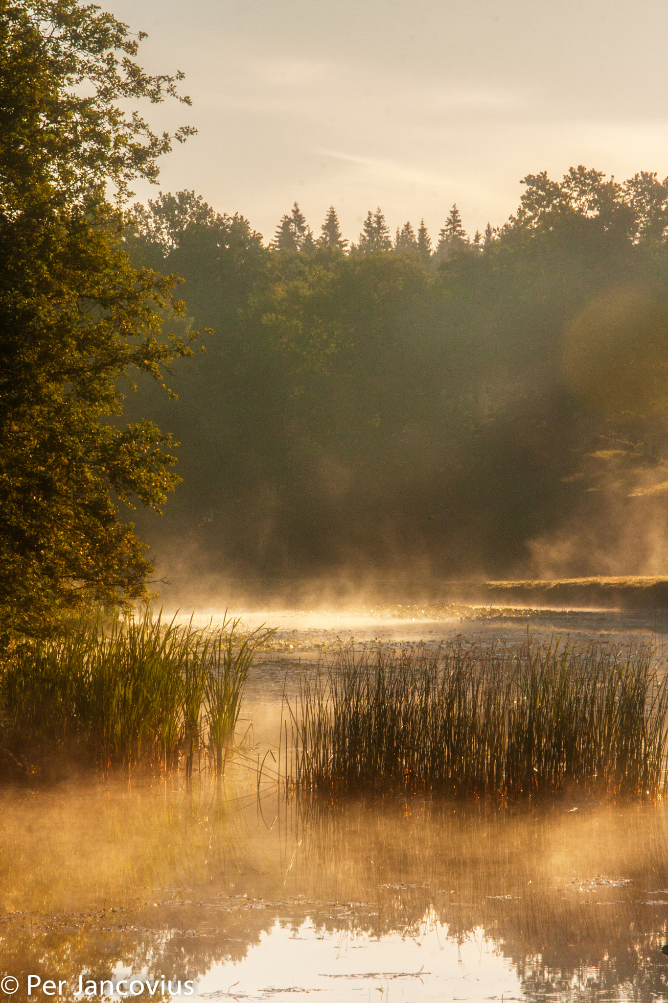 Canon EOS 40D sample photo. Komstad kvarn sunrise and mist photography