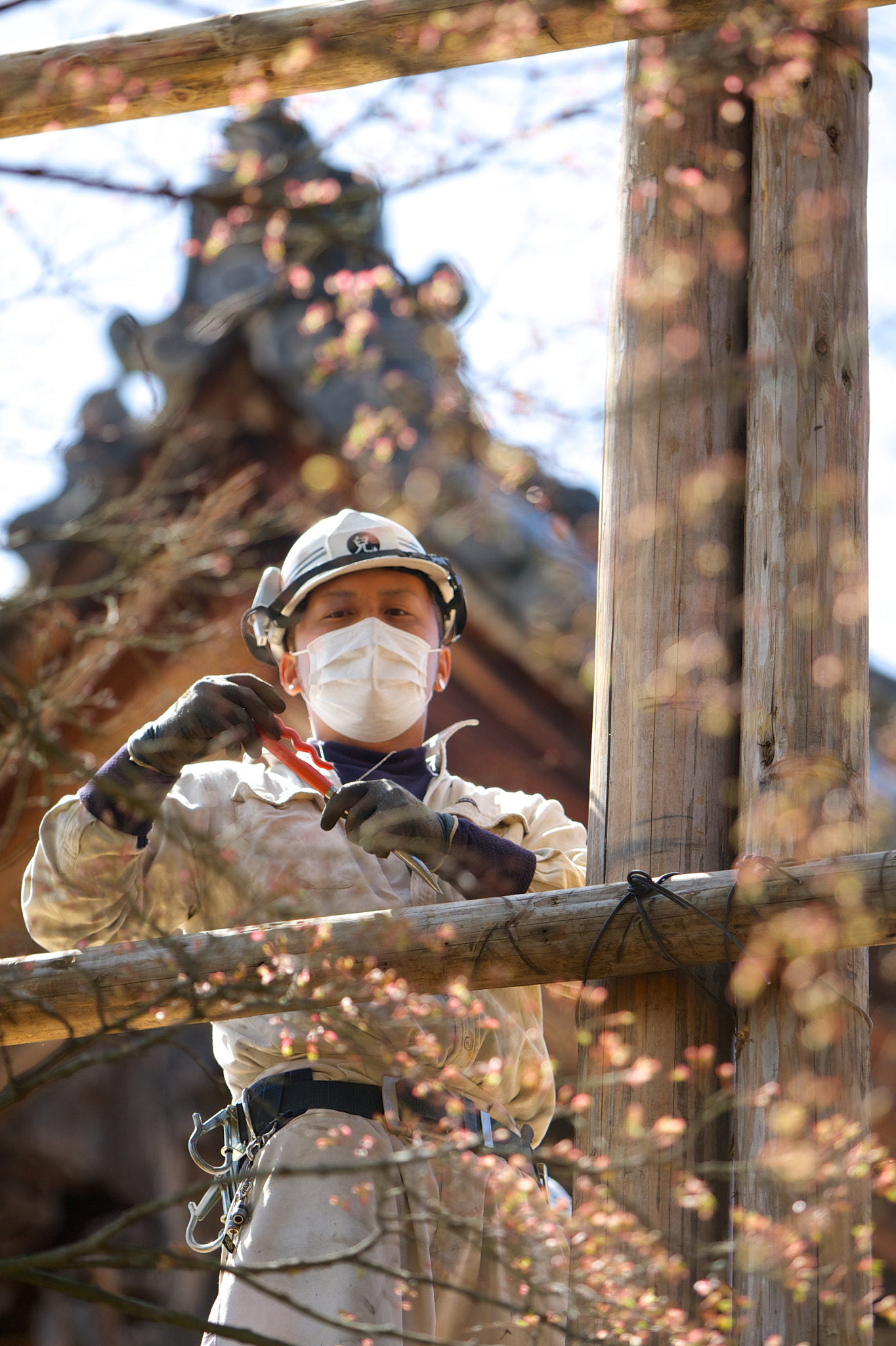 Canon EOS-1D Mark III sample photo. Worker at ninna-ji photography