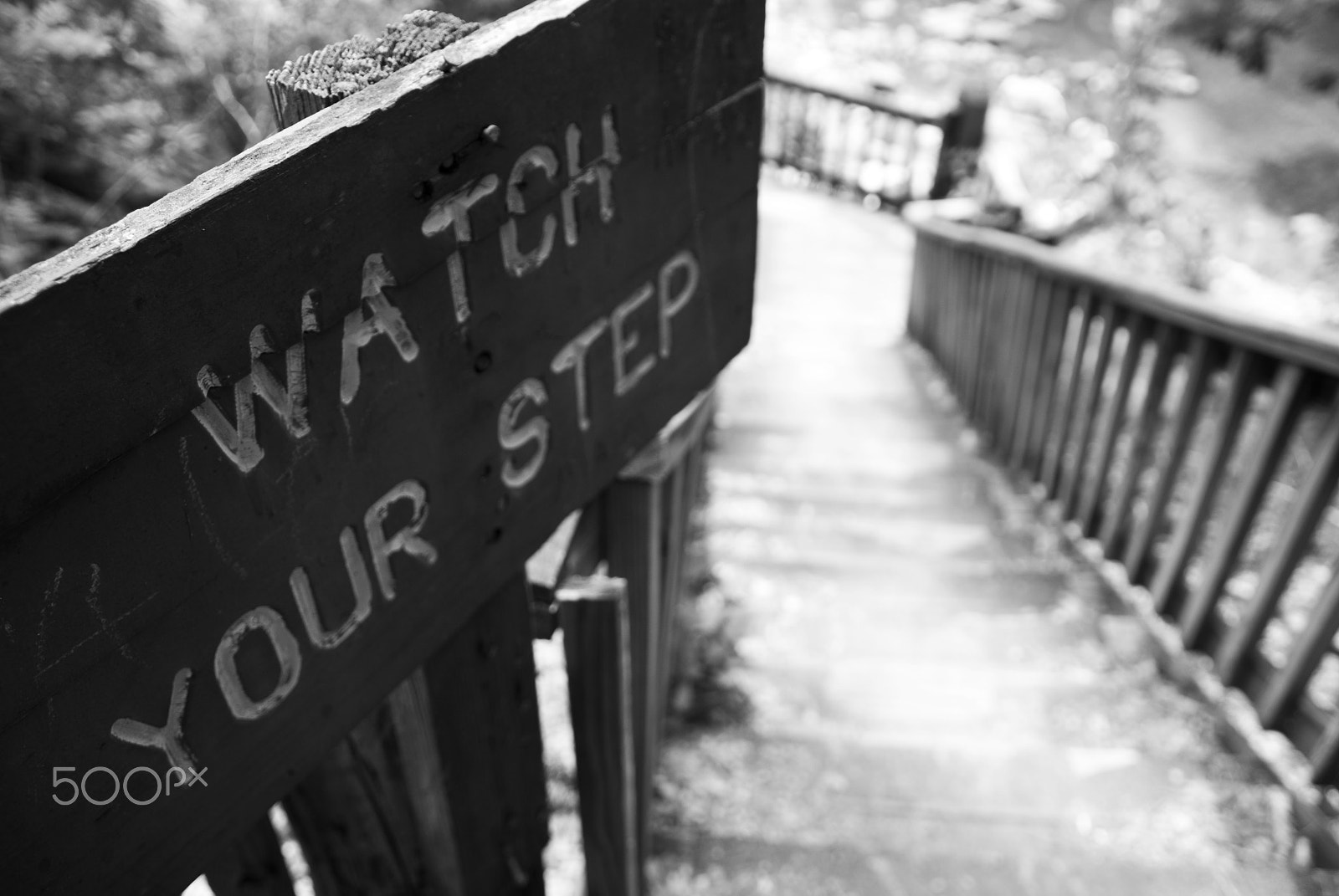 Nikon D40X sample photo. Watch your step photography