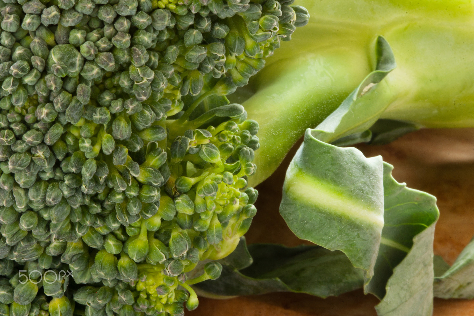 Canon EF 100mm F2.8 Macro USM sample photo. Broccoli photography