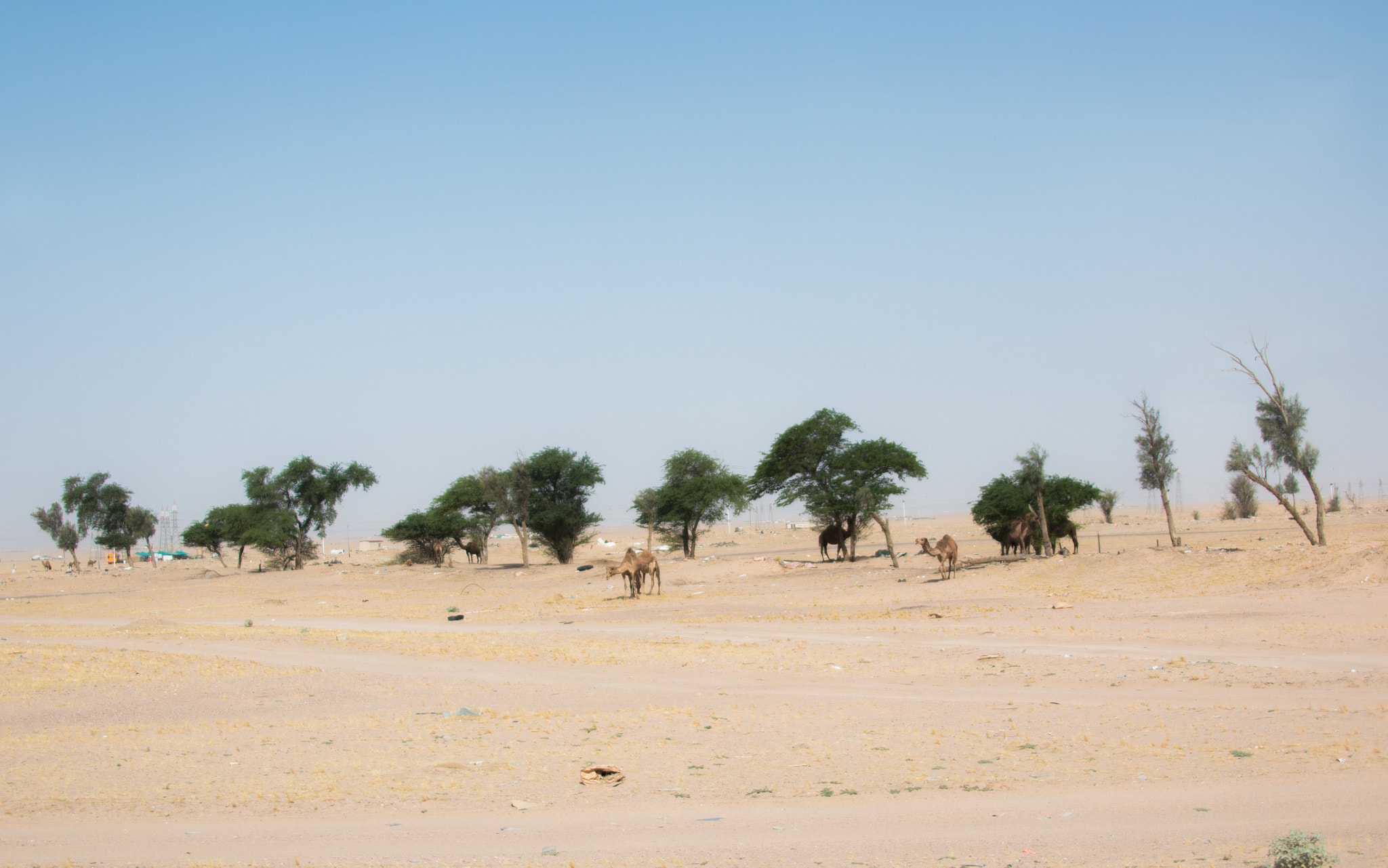 Canon EF 28-300mm F3.5-5.6L IS USM sample photo. Iraq borderland photography