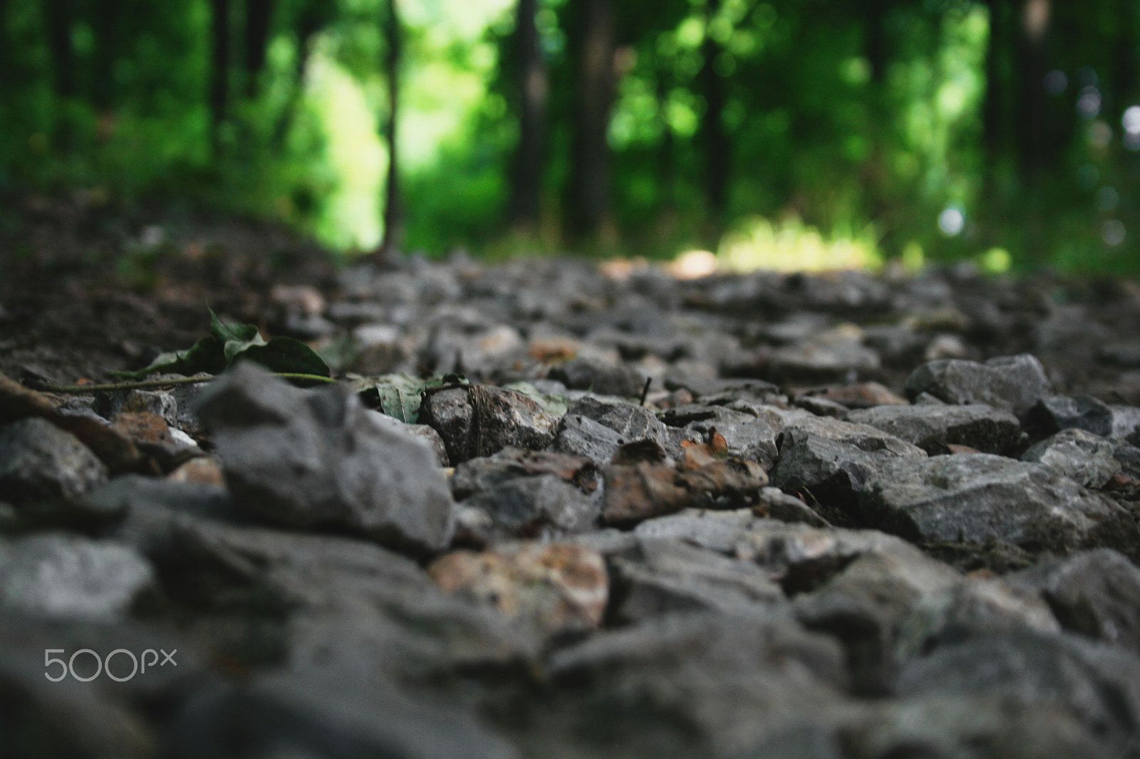 Canon EOS 30D sample photo. Stones photography