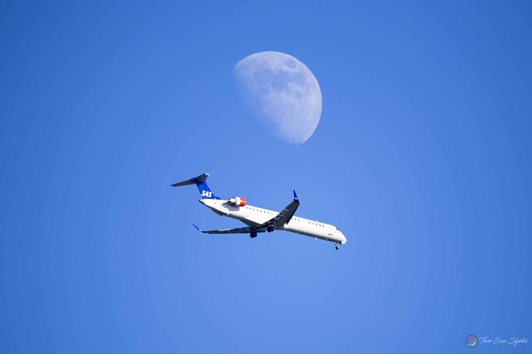 150-600mm F5-6.3 DG OS HSM | Sports 014 sample photo. To the moon photography