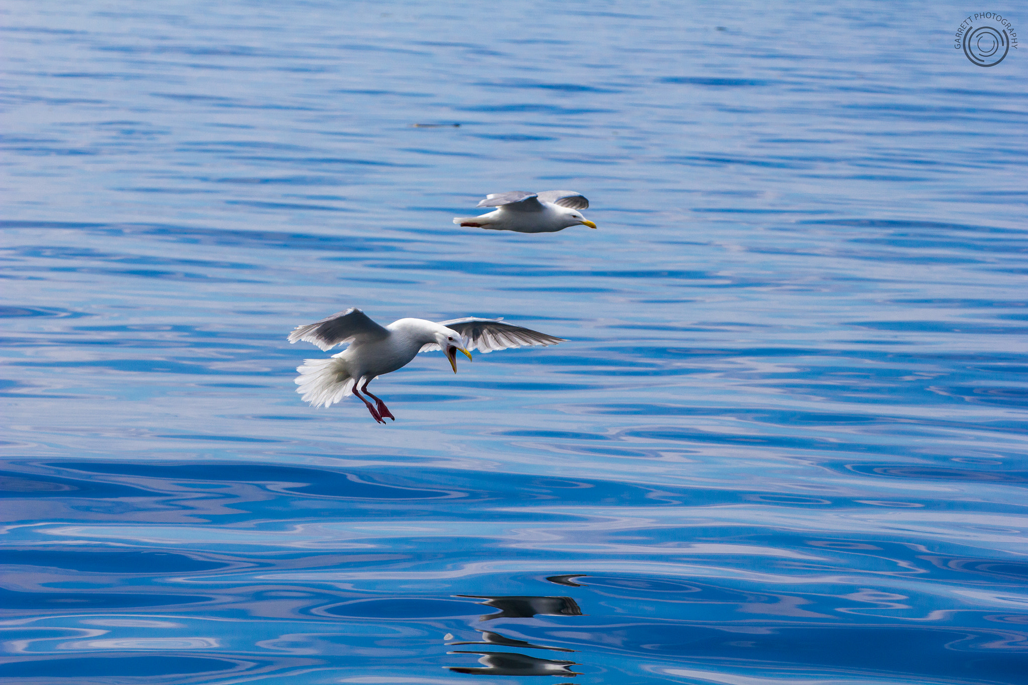 Tamron SP 35mm F1.8 Di VC USD sample photo. Hot landing 1 photography