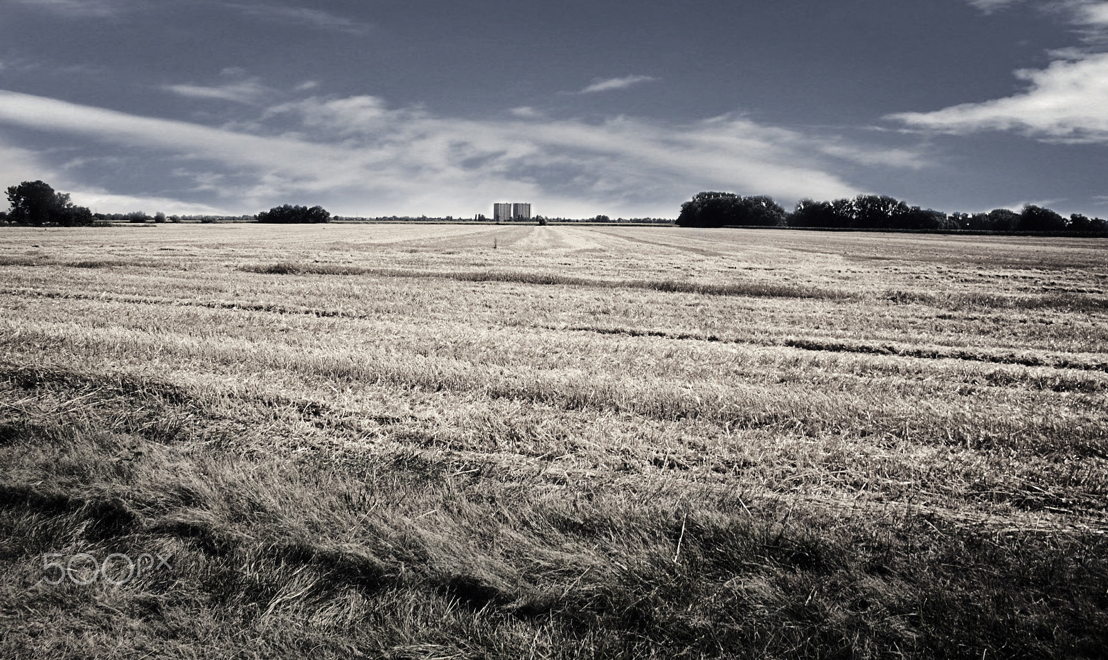 Canon EOS 6D + Canon EF 24-85mm F3.5-4.5 USM sample photo. Summer photography