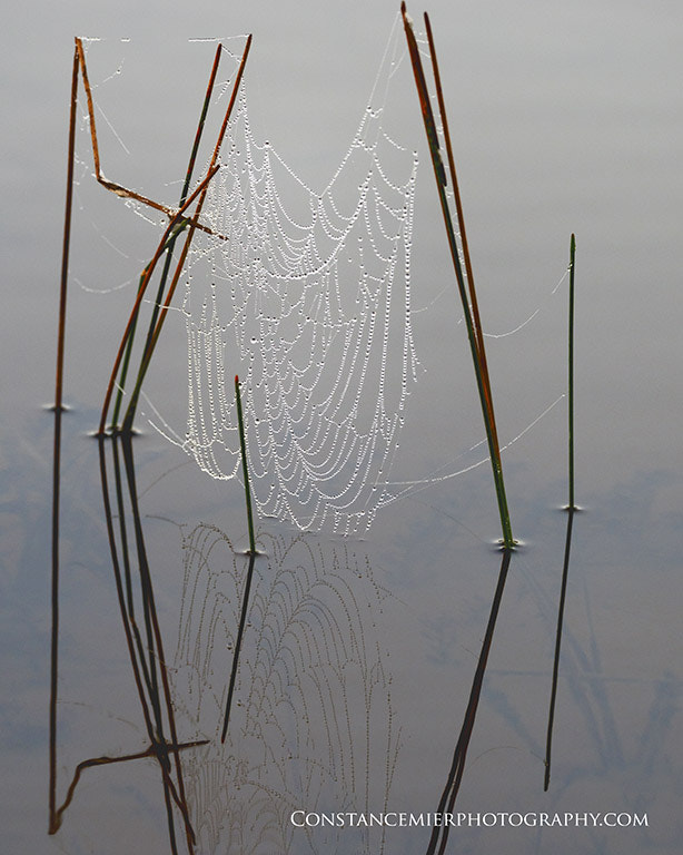 Sigma 180mm F3.5 EX DG Macro sample photo. Early morning on the water photography