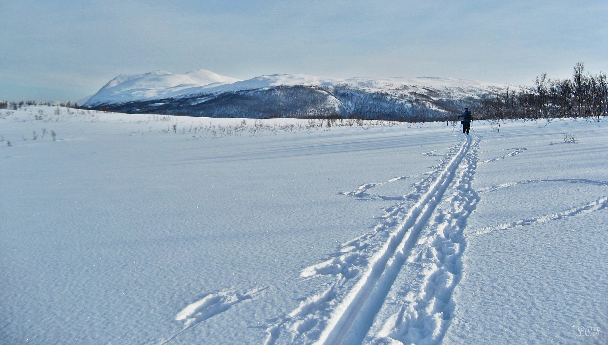 Canon DIGITAL IXUS 800 IS sample photo. Tracks in the snow...  photography