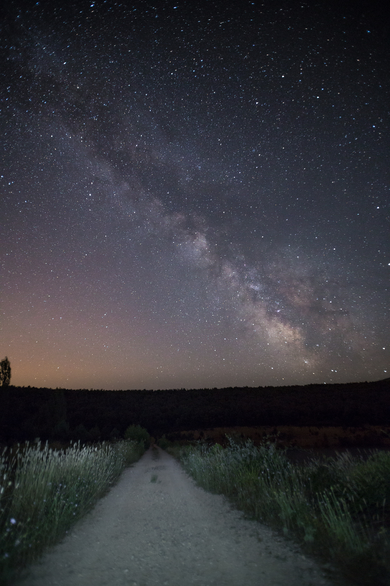 Canon EOS 6D + Tamron SP AF 17-35mm F2.8-4 Di LD Aspherical (IF) sample photo. A path to the milky way photography