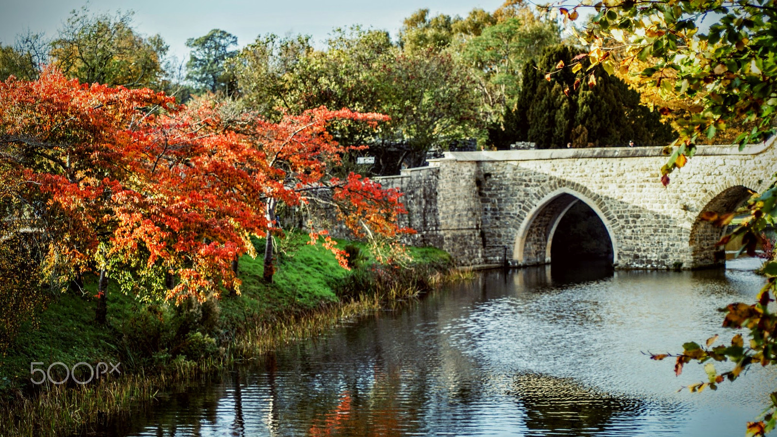 Sony Alpha DSLR-A200 + Tamron Lens (255) sample photo. Bridge photography